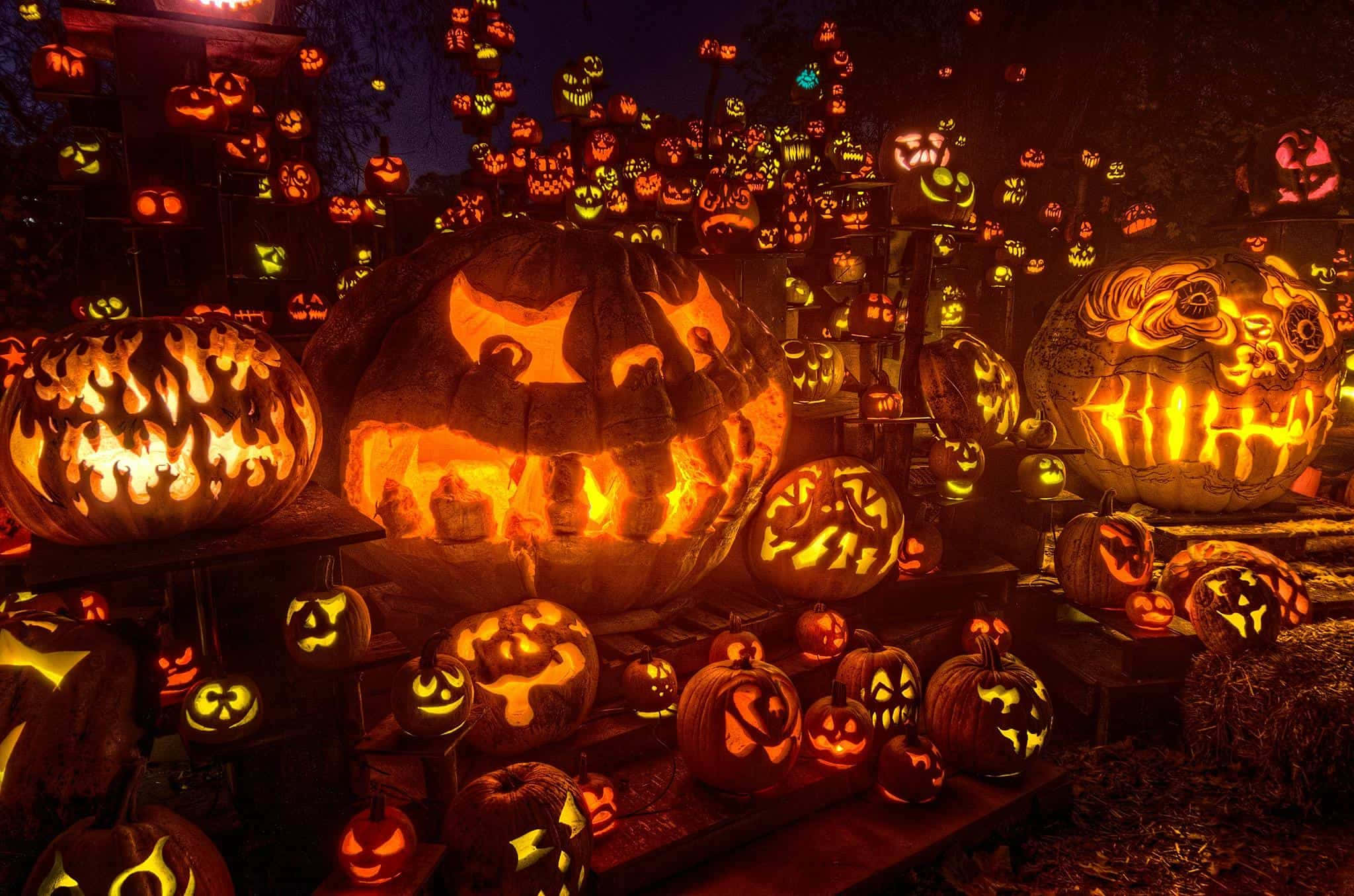 Jack O Lantern 桌布 壁紙 — 數百個雕刻精細的發光南瓜，以火熱的橙色和黃色光芒照亮黑暗的戶外場景。