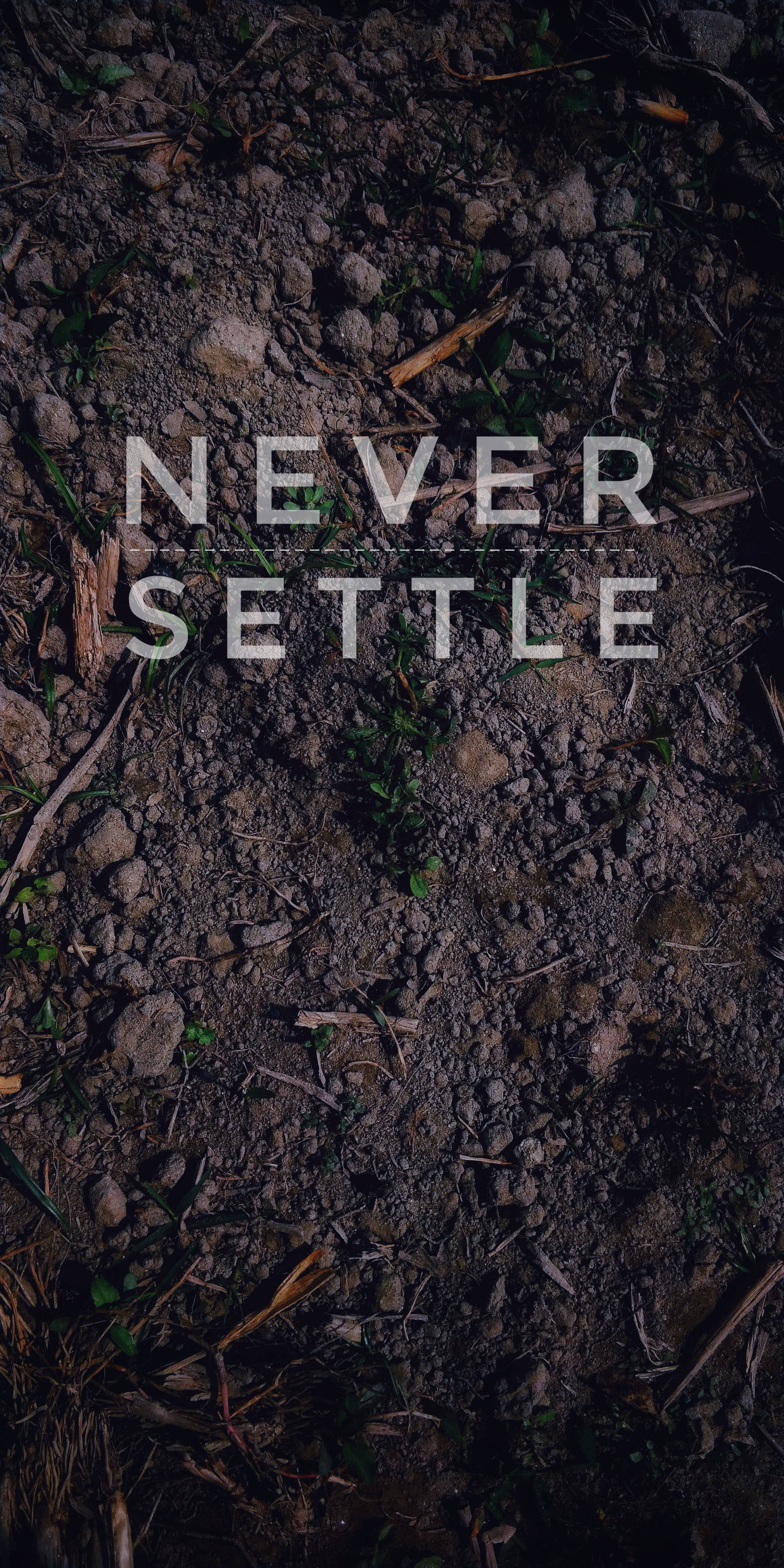 語錄 桌布 壁紙 — 文字 never settle 覆蓋在深色有紋理的泥土上，散落著樹枝和稀疏的綠色嫩芽。