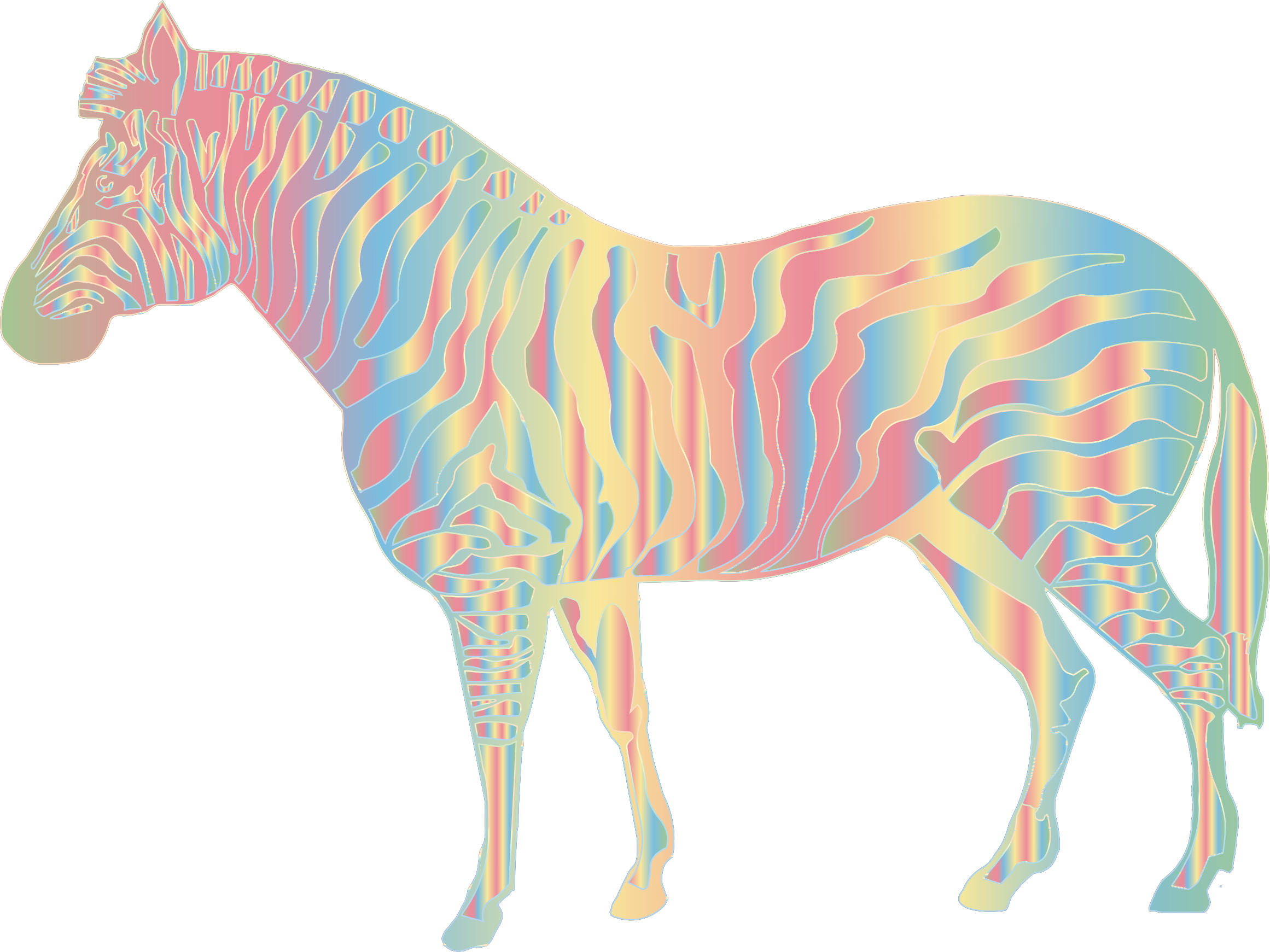 Zebra 桌布 壁紙 — 斑馬剪影，填滿彩虹色條紋，襯托在純黑背景上。
