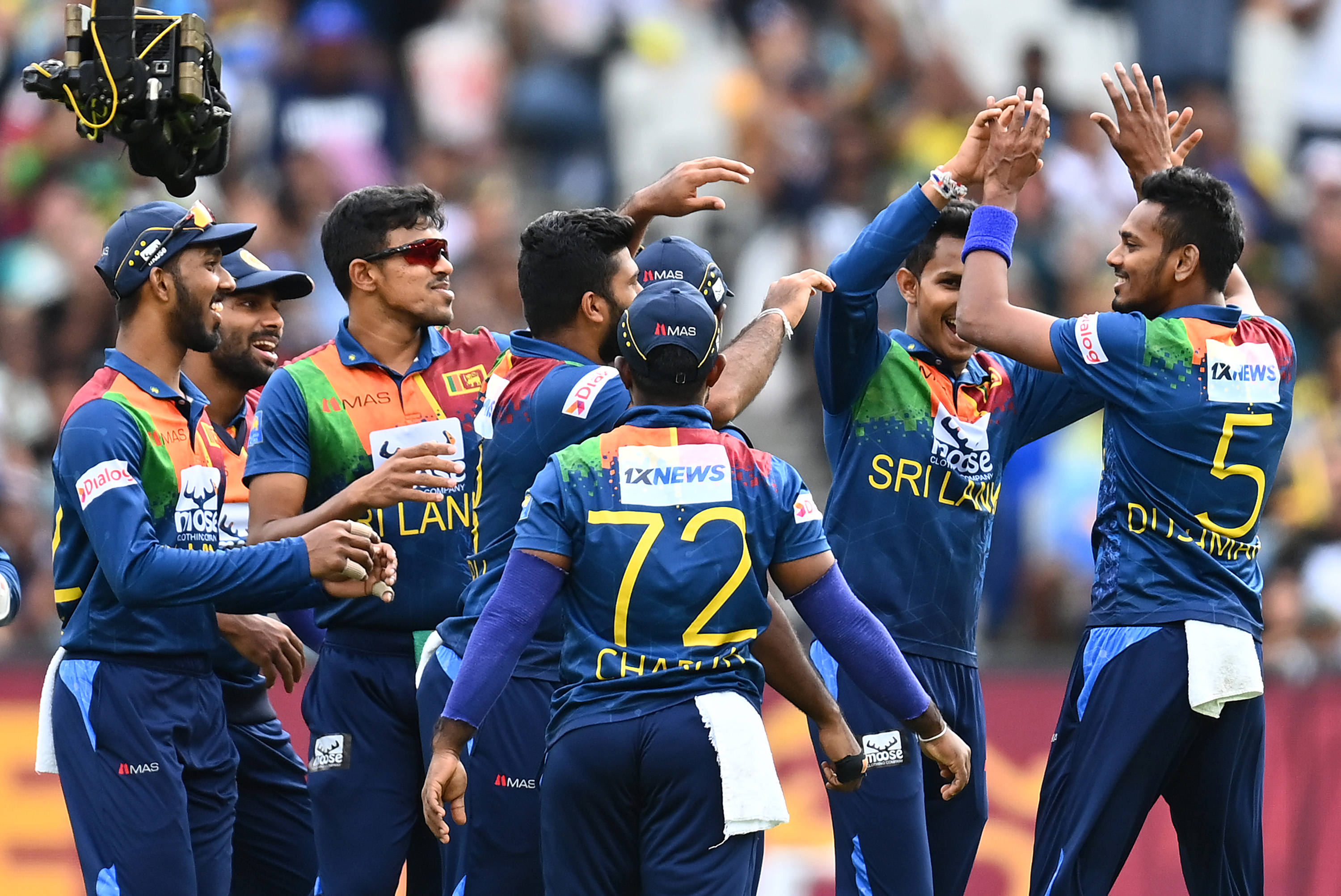 Sri Lanka Cricket 桌布 壁紙 — 斯里蘭卡板球球員身穿藍色球衣，在陽光明媚的場地上擊掌歡笑慶祝出局。