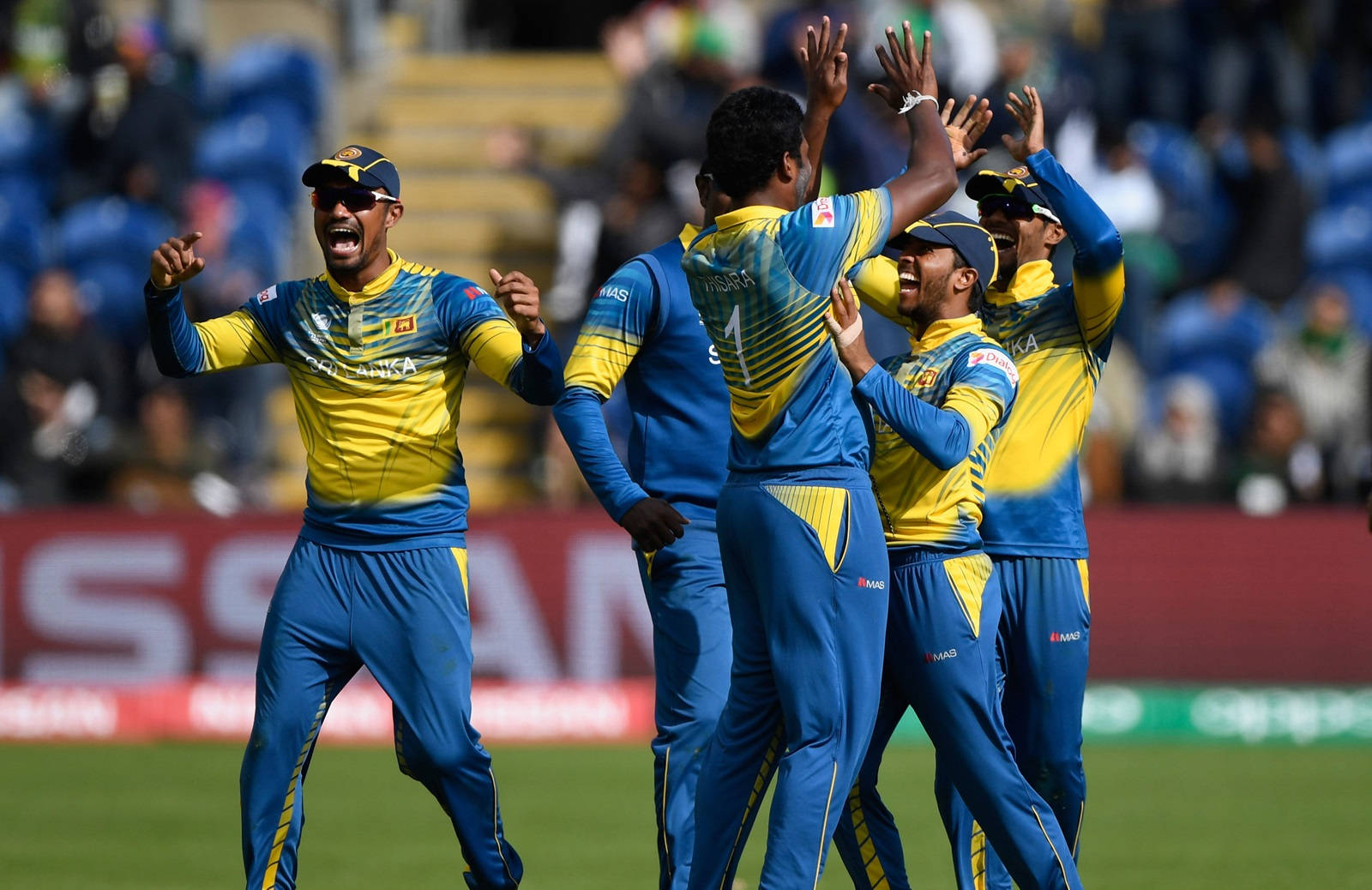 Sri Lanka Cricket 桌布 壁紙 — 斯里蘭卡板球運動員身穿藍黃色制服，在陽光明媚的綠色球場上熱情慶祝，背景有球迷。