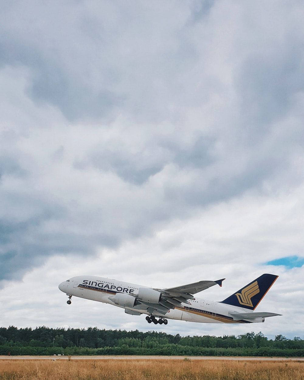 飛機 桌布 壁紙 — 新加坡航空的空中巴士A380在戲劇性的多雲天空和下方的森林地平線襯托下起飛。