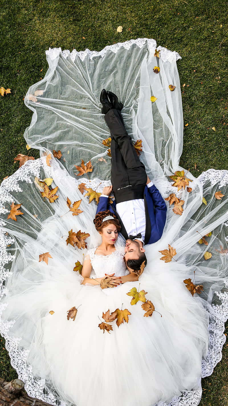 Wedding 桌布 壁紙 — 新娘和新郎在秋葉樹冠下的草地上纏綿躺臥，他們的婚紗像鋪滿蕾絲的場景般展開。