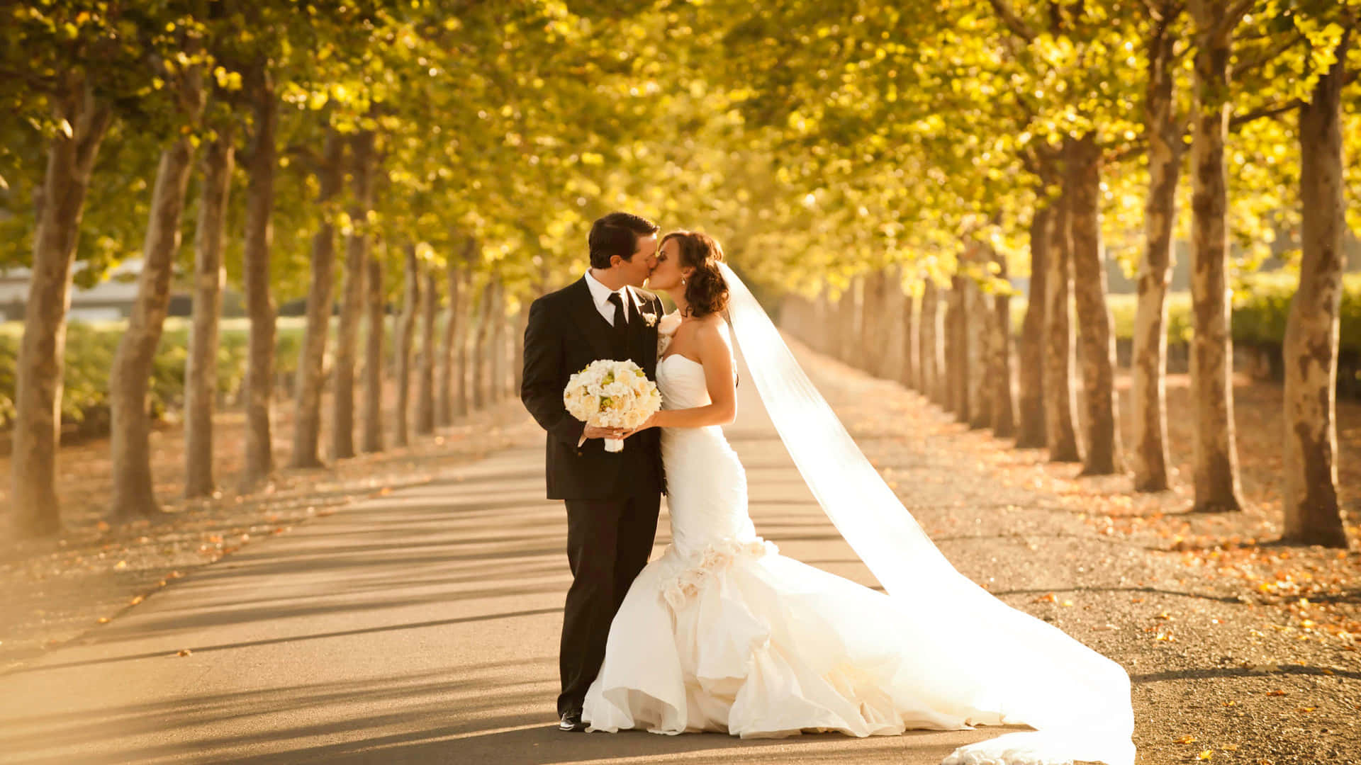 Wedding 桌布 壁紙 — 新娘和新郎在金色秋樹下，陽光灑落的小徑上親吻，落葉飄揚。