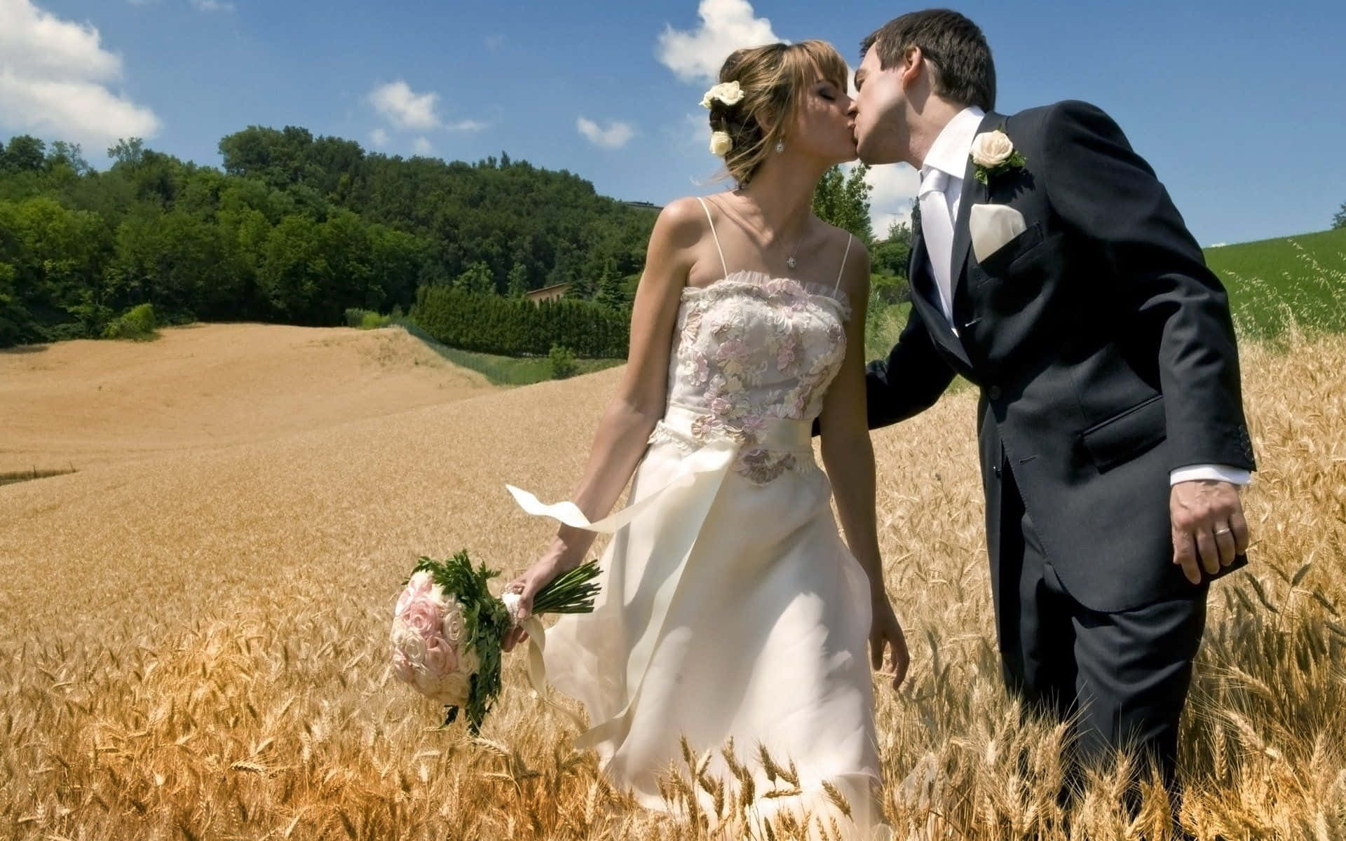 Wedding Couple 桌布 壁紙 — 新娘和新郎在金色麥田裡，在藍天白雲下親吻。