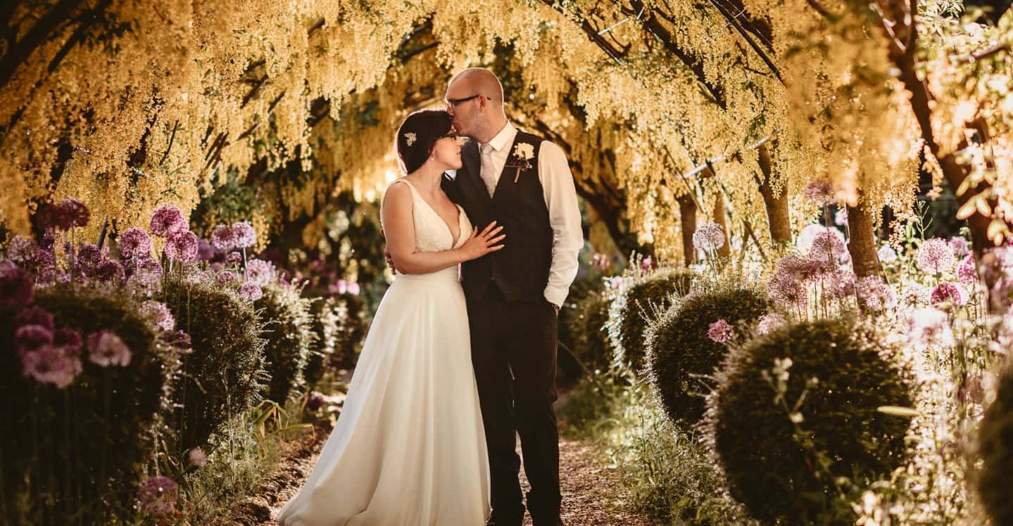 Garden Wedding 桌布 壁紙 — 新娘和新郎在開滿花朵的金色樹冠下接吻，周圍環繞著紫色花朵。