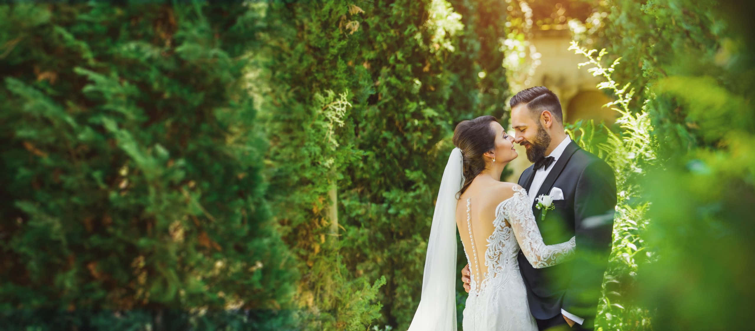 Garden Wedding 桌布 壁紙 — 新娘和新郎在陽光明媚的花園中親吻，四周環繞著茂密的綠植。