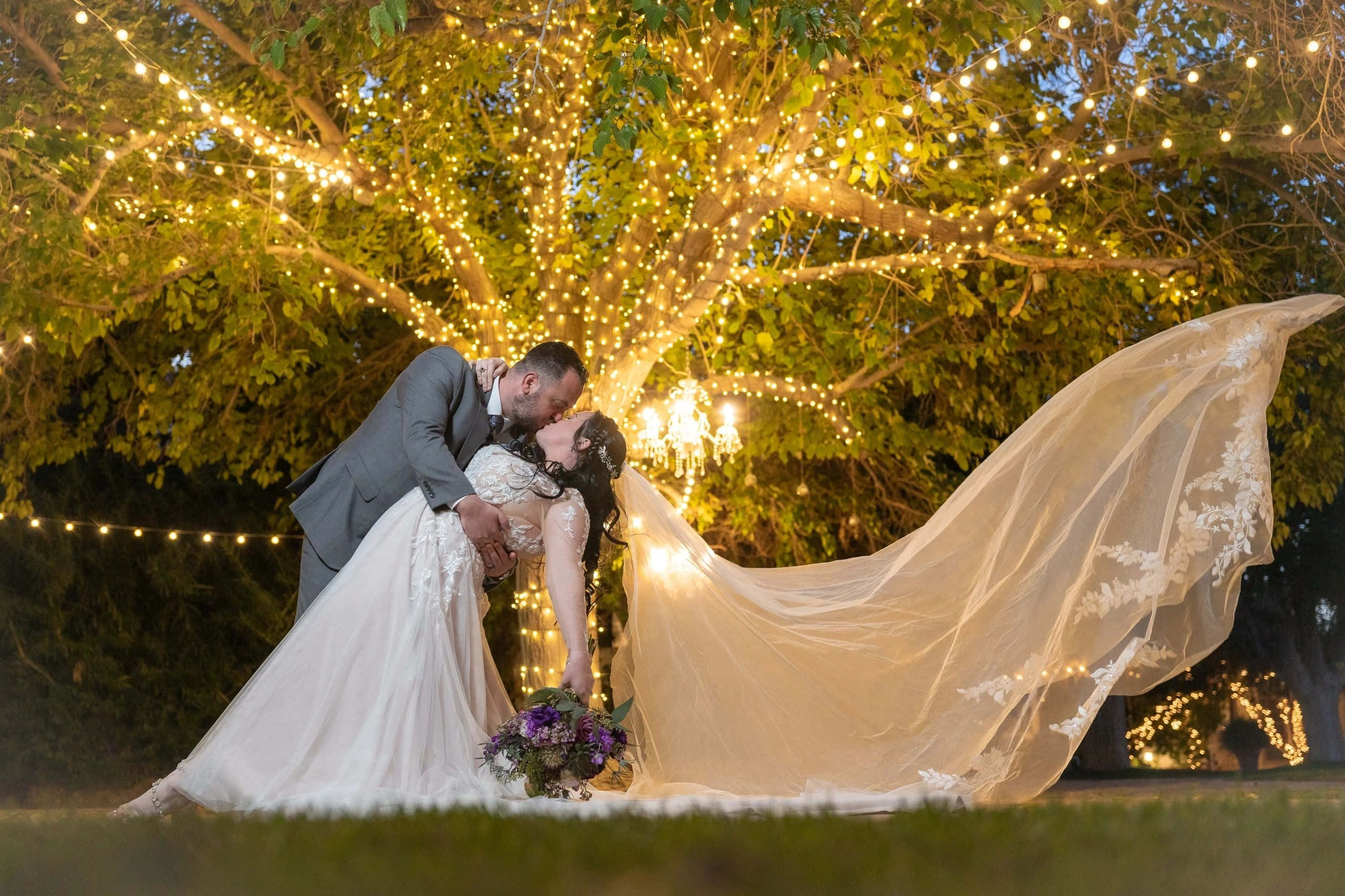 Garden Wedding 桌布 壁紙 — 新娘和新郎在黃昏時分，在一棵掛滿發光燈串的樹下接吻。