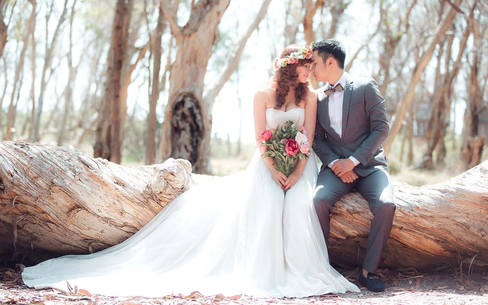 Wedding 桌布 壁紙 — 新娘和新郎坐在陽光灑落的森林中的一根倒木上，共享親密時刻。