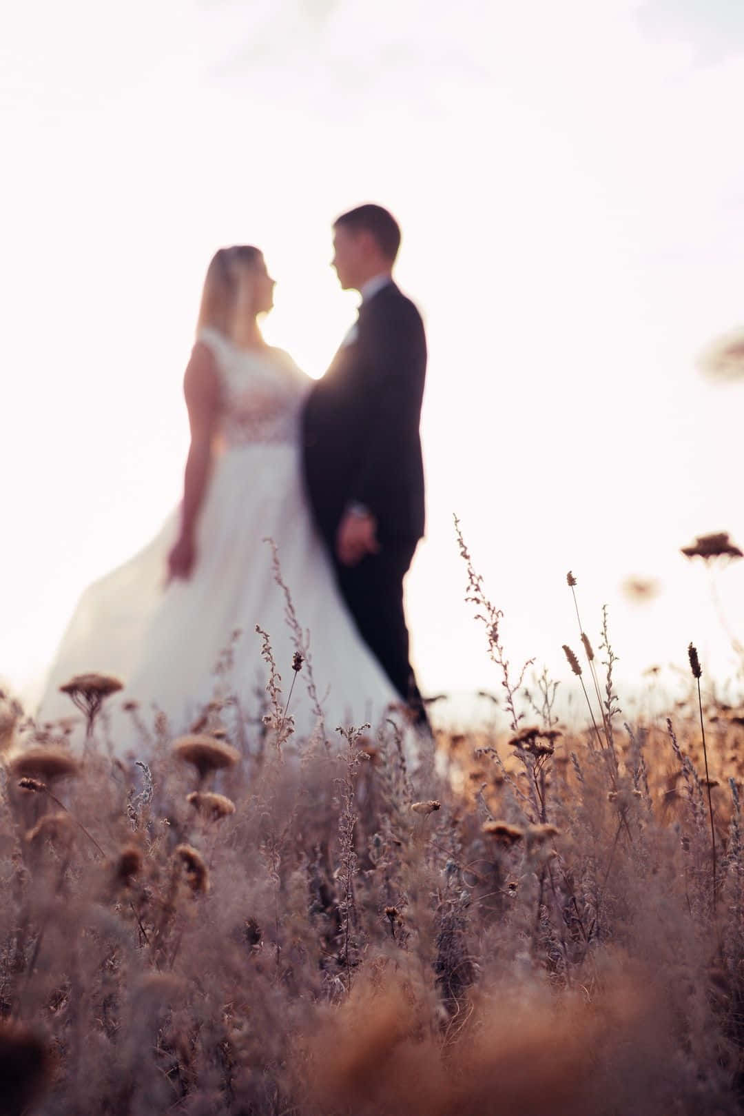 Bride 桌布 壁紙 — 新娘和新郎站在陽光明媚的高大金色草叢中，在明亮的天空下形成剪影。