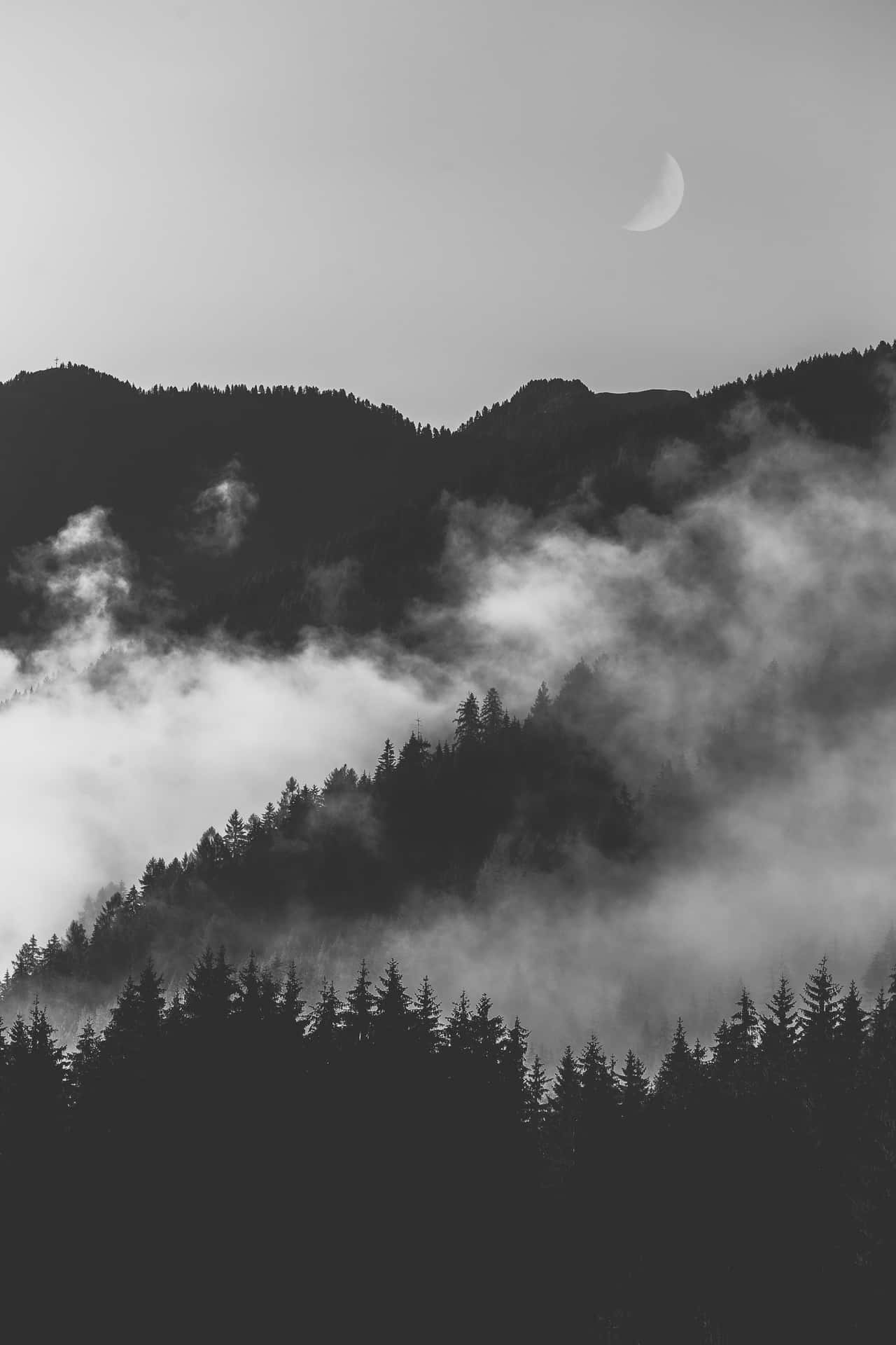 松樹和新月下的霧氣山巒，黑白風格。 — 黑暗森林 壁紙