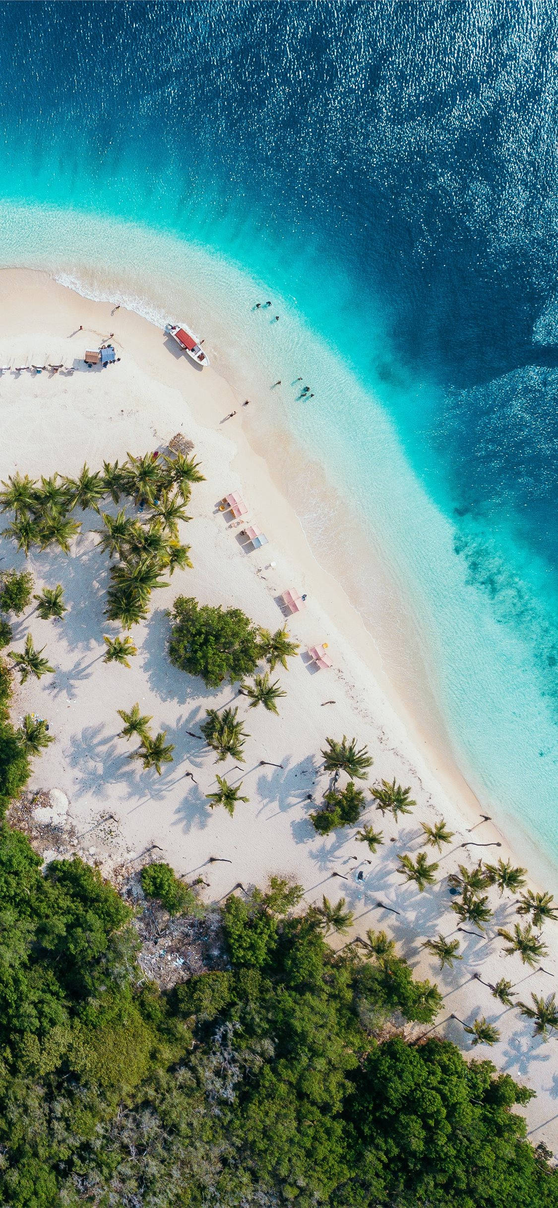 iPhone X Beach 桌布 壁紙 — 新月形白色沙灘的鳥瞰圖，沙灘兩旁種滿棕櫚樹，碧綠的海水中有游泳的人們和停泊的船隻。