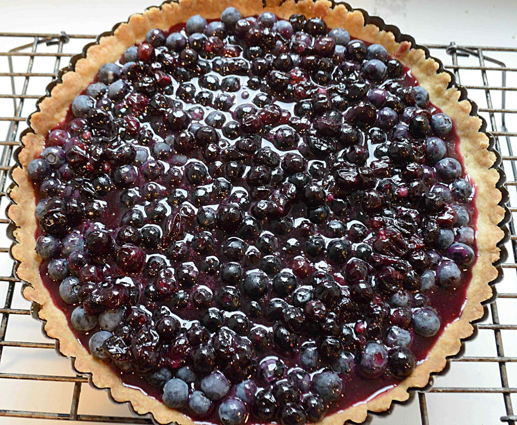 Blueberries Tart 桌布 壁紙 — 新鮮出爐的藍莓塔，閃亮的莓果和金黃色的外皮，放在冷卻架上。