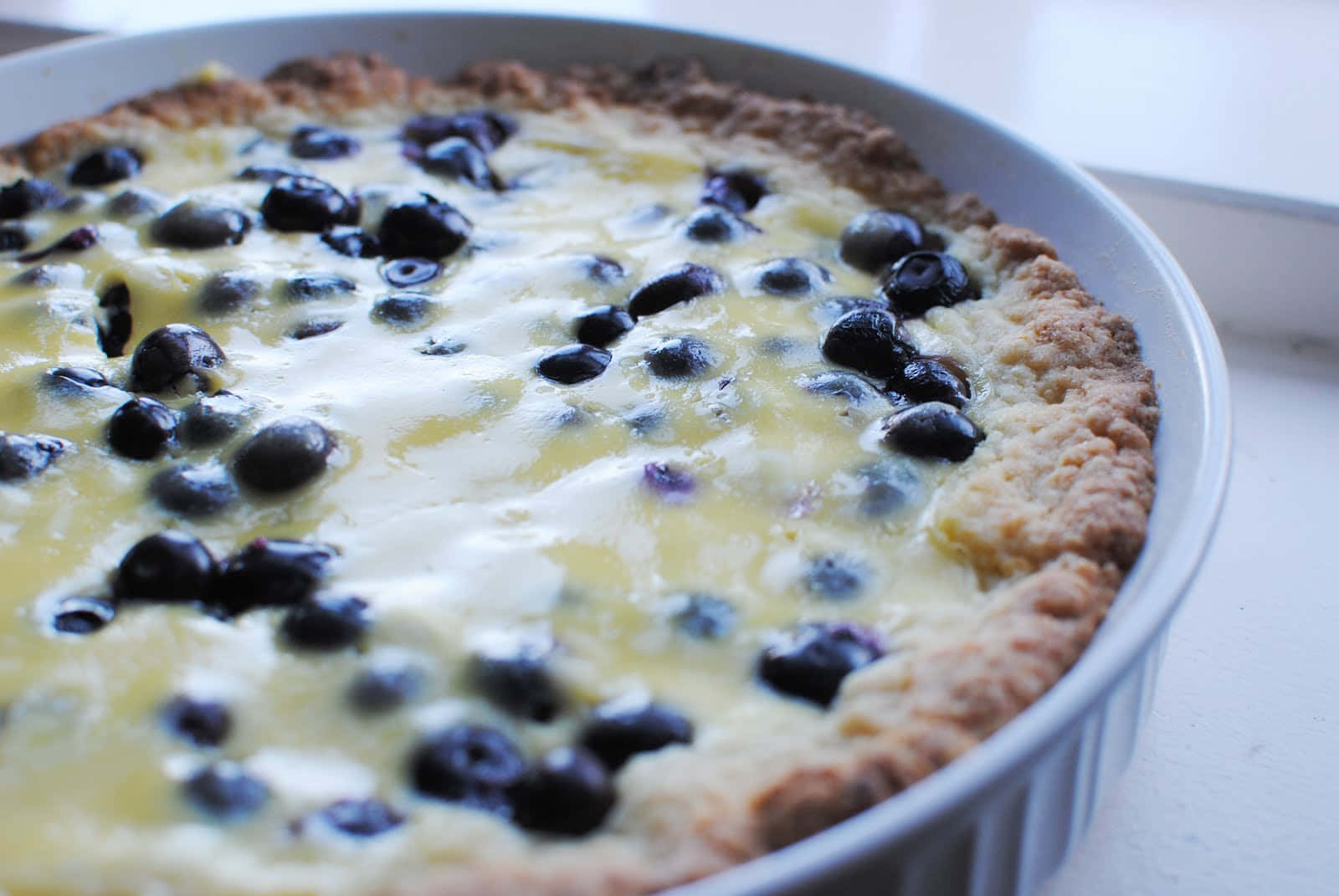 Blueberries Tart 桌布 壁紙 — 新鮮出爐藍莓塔的特寫，金黃色的外皮和閃亮的莓果，放在白色烤盤中。