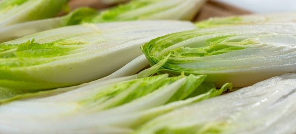 Green Leaves 桌布 壁紙 — 新鮮切好的生菜葉，帶有爽脆的白色基部及充滿活力的綠色尖端，以特寫視角排列。