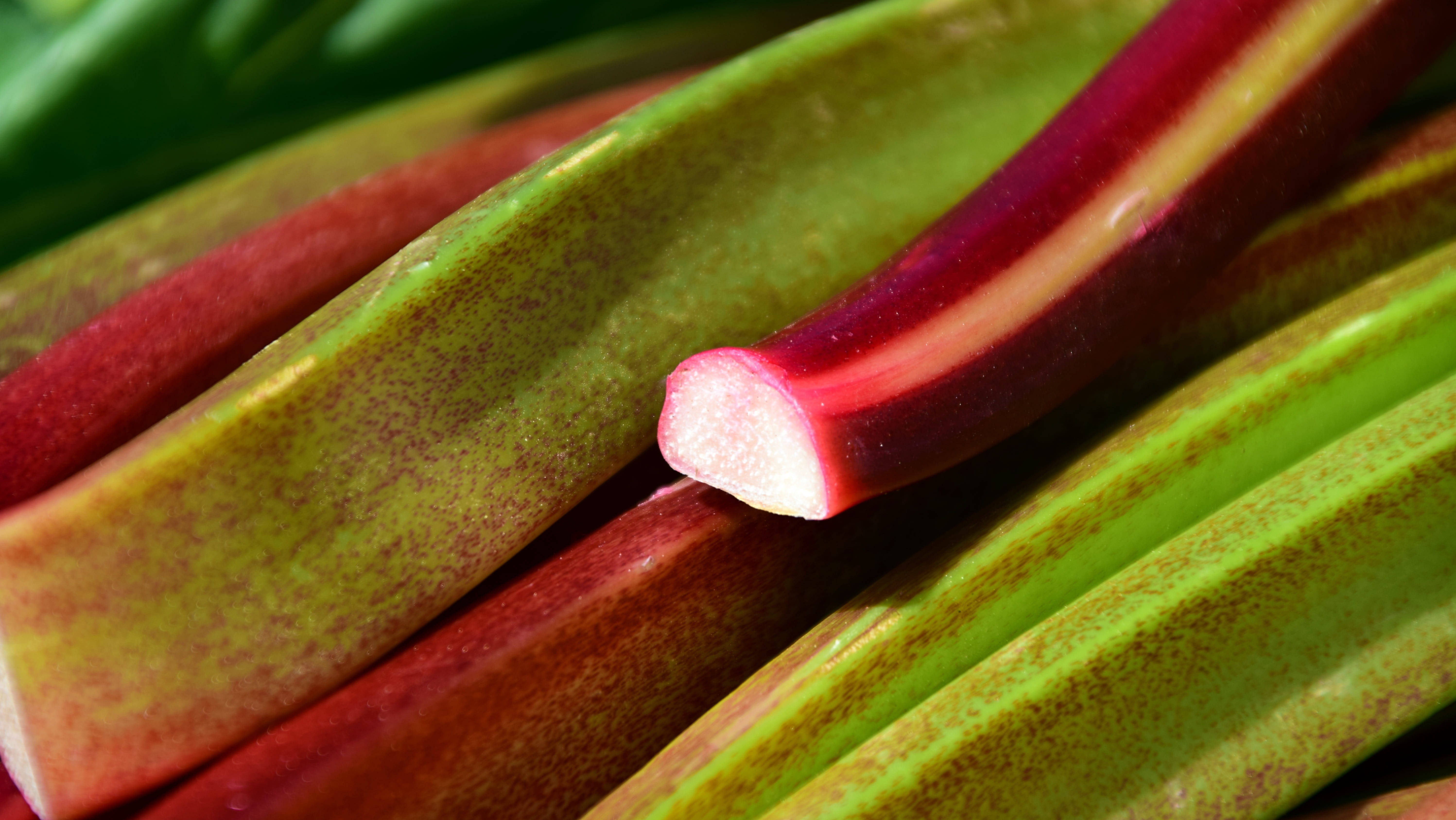 Rhubarb 桌布 壁紙 — 新鮮大黃莖的近距離特寫，呈現鮮豔的紅色和綠色色調，表面有紋理。