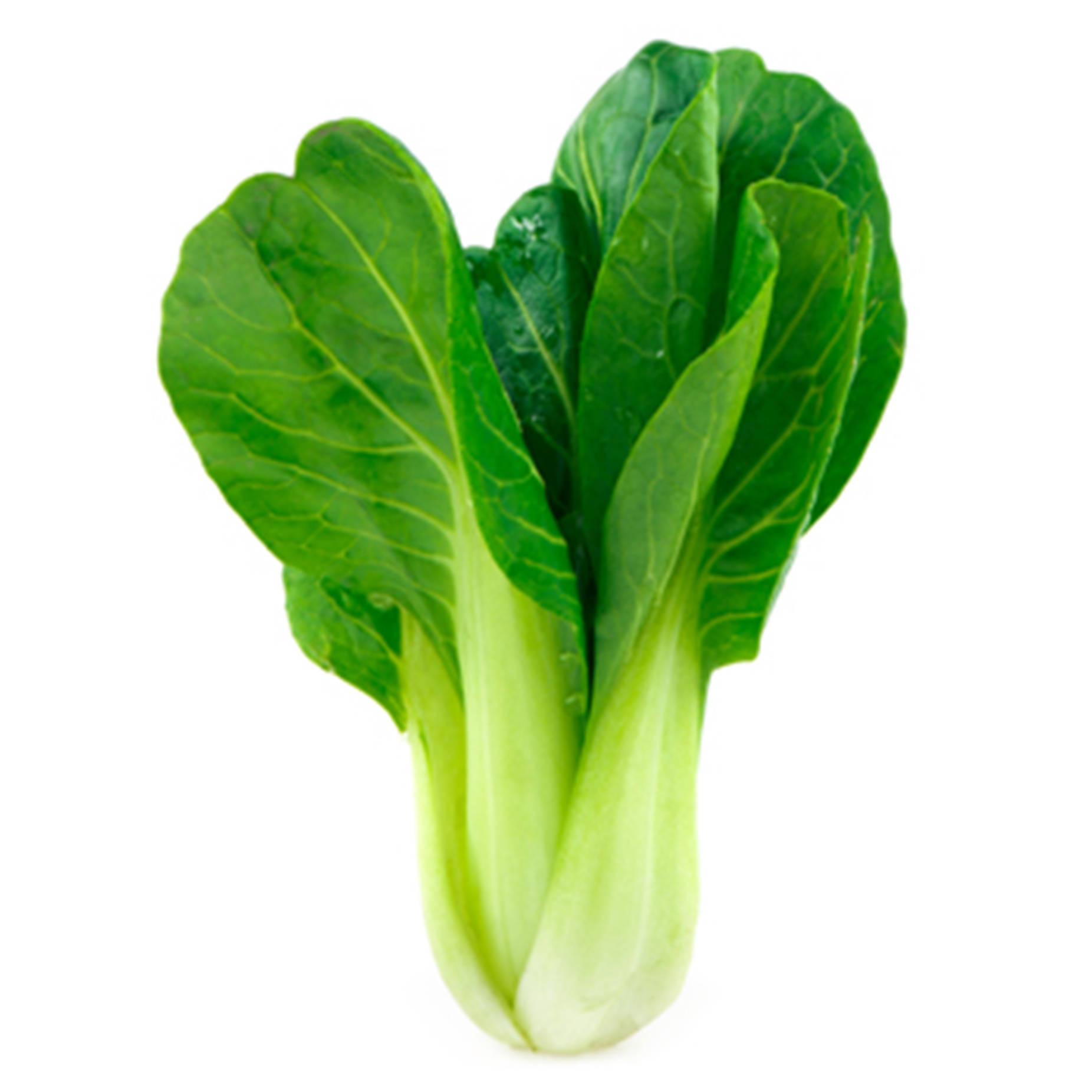 Vegetables 桌布 壁紙 — 新鮮小白菜，帶有鮮綠色葉片和淡色莖部，孤立地立在純白色背景上。