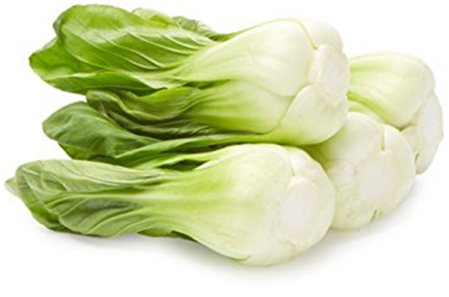 Vegetables 桌布 壁紙 — 新鮮小白菜，翠綠葉片和淡白莖部整齊堆疊在潔白背景上。