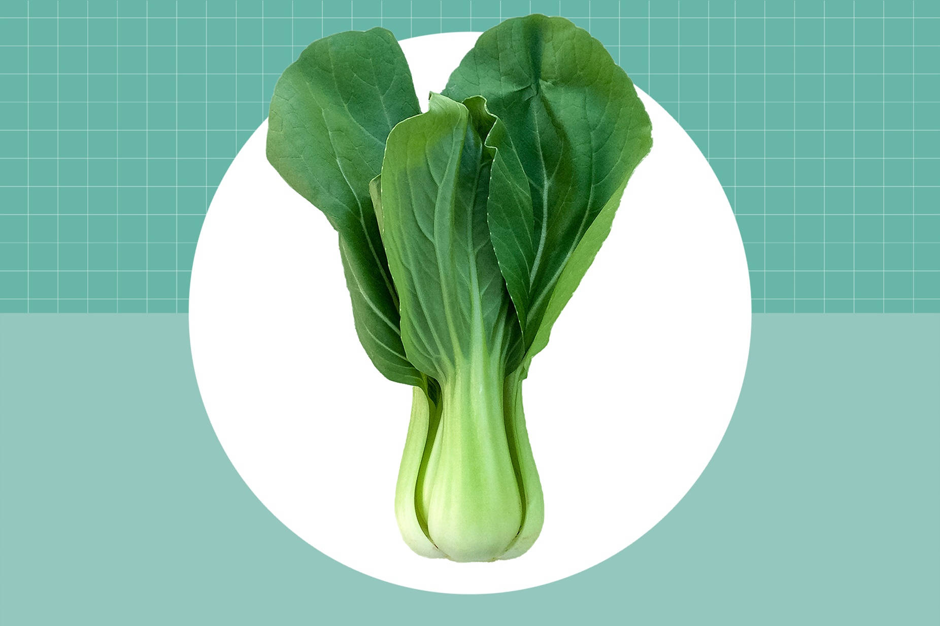 Vegetables 桌布 壁紙 — 新鮮小白菜，翠綠葉片和淺色莖部，置於白色圓形中央，背景為青綠色網格。