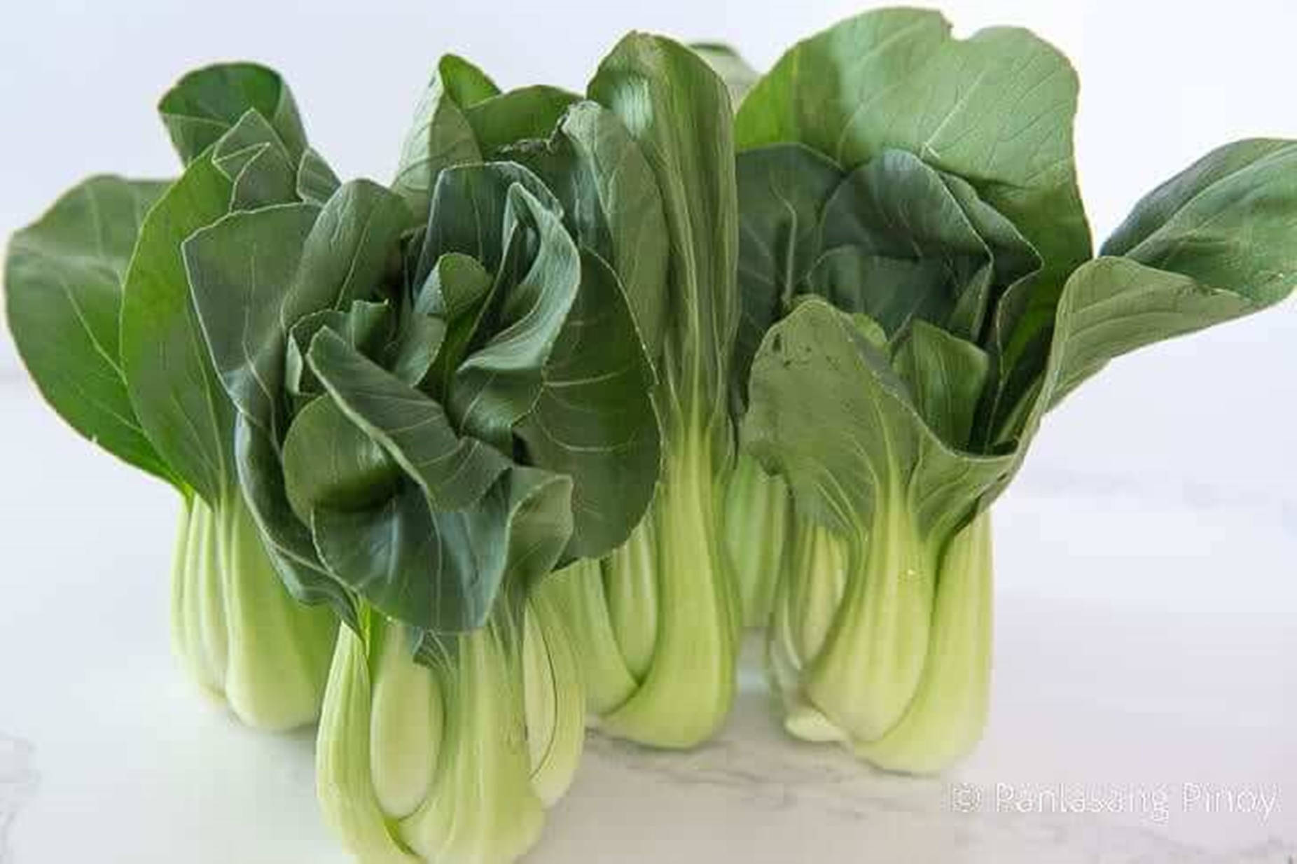 Vegetables 桌布 壁紙 — 新鮮小白菜，翠綠葉片和淺色莖部整齊排列在白色大理石表面上。
