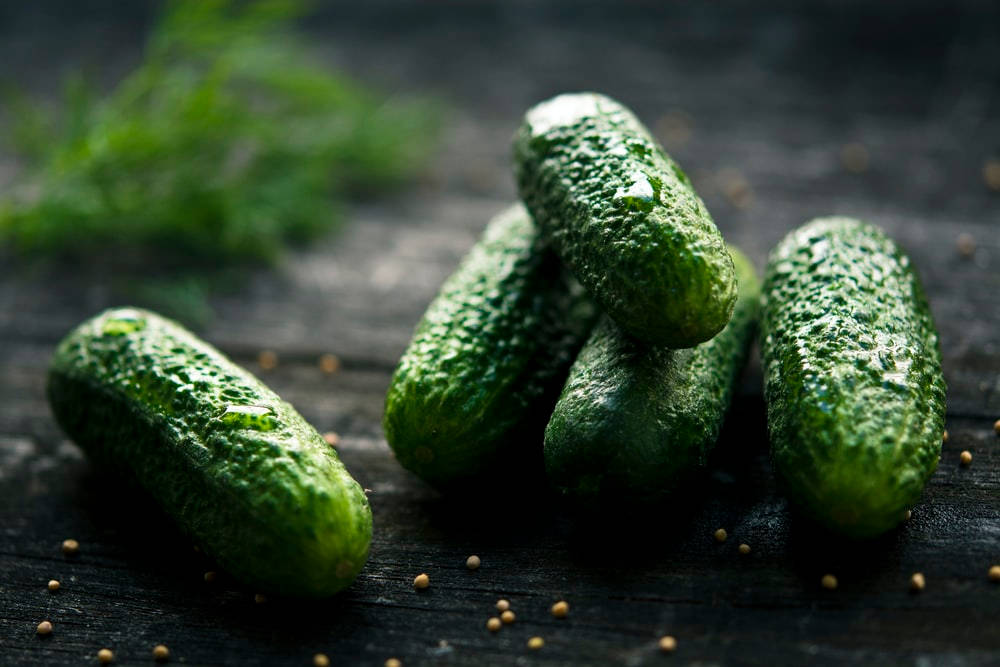 Pickle 桌布 壁紙 — 新鮮小黃瓜在灑滿芥末籽和蒔蘿的深色質樸木質表面上閃爍著露珠。