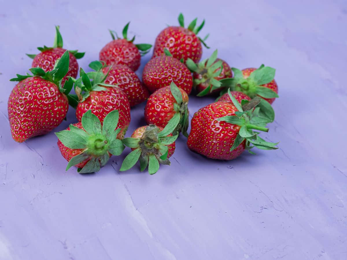 Strawberries 桌布 壁紙 — 新鮮成熟的草莓，帶有綠色頂部，散落在有紋理的薰衣草色表面上。
