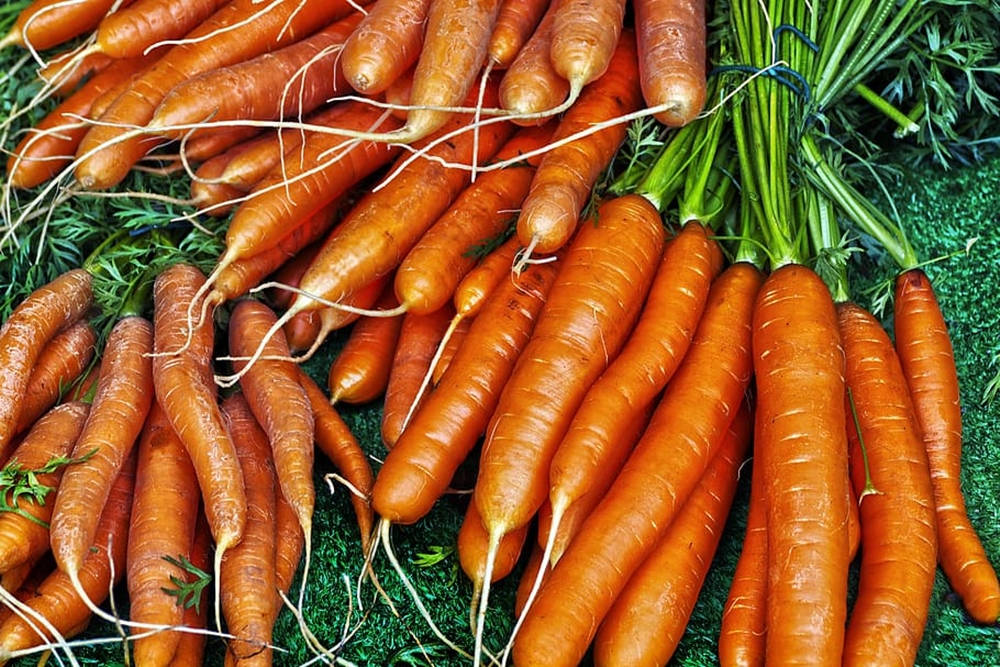 Healthy Food 桌布 壁紙 — 新鮮收成的紅蘿蔔，帶有綠色頂部和根部附著的泥土，放置在帶有紋理的綠色表面上。