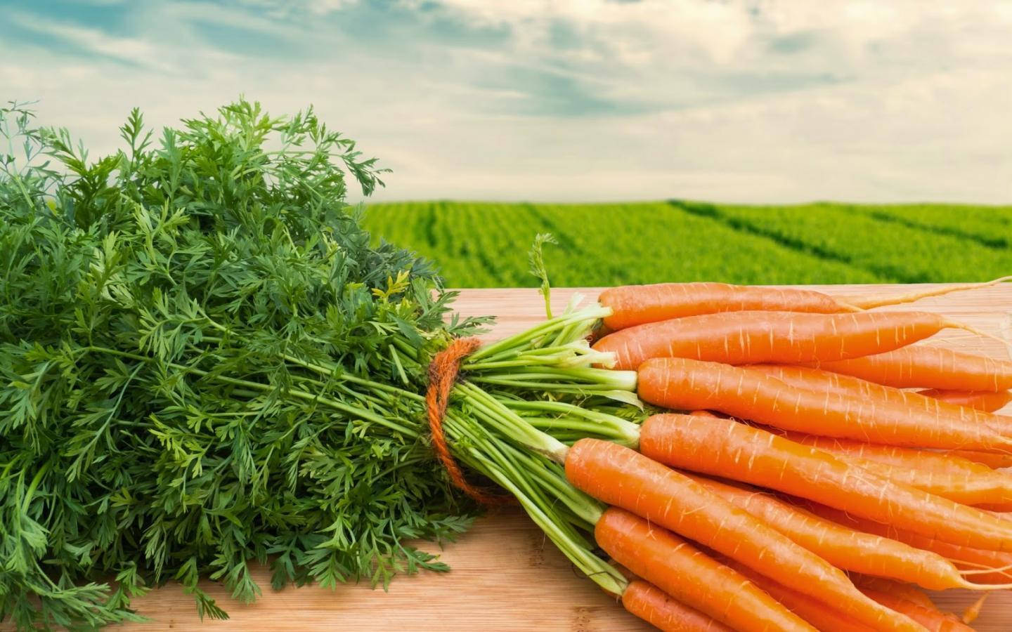 Healthy Food 桌布 壁紙 — 新鮮收穫的帶綠葉的胡蘿蔔放在木板上，背景是模糊的綠色田野和陰天。