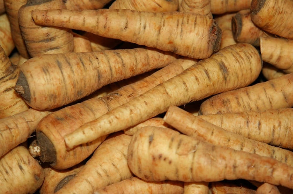 Parsnip 桌布 壁紙 — 新鮮收穫的歐洲防風草特寫，帶有泥土色調和紋理表皮，堆疊在一起。