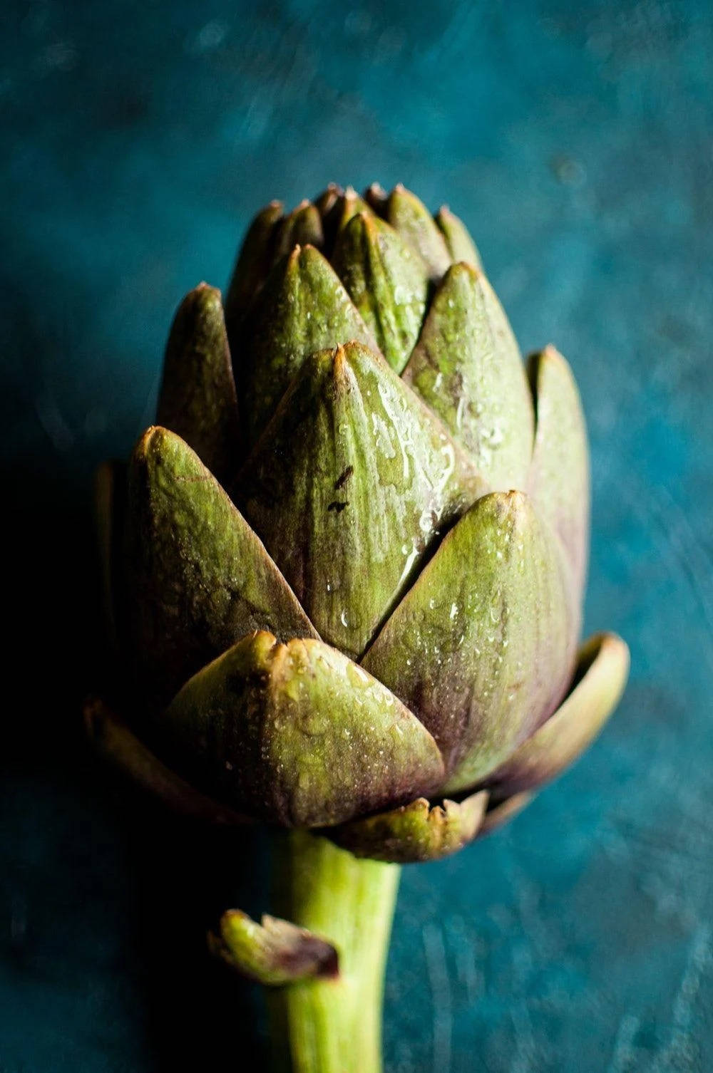 Food Photography 桌布 壁紙 — 新鮮朝鮮薊的特寫，露珠在其綠色葉片上閃閃發光，背景為有紋理的青綠色。