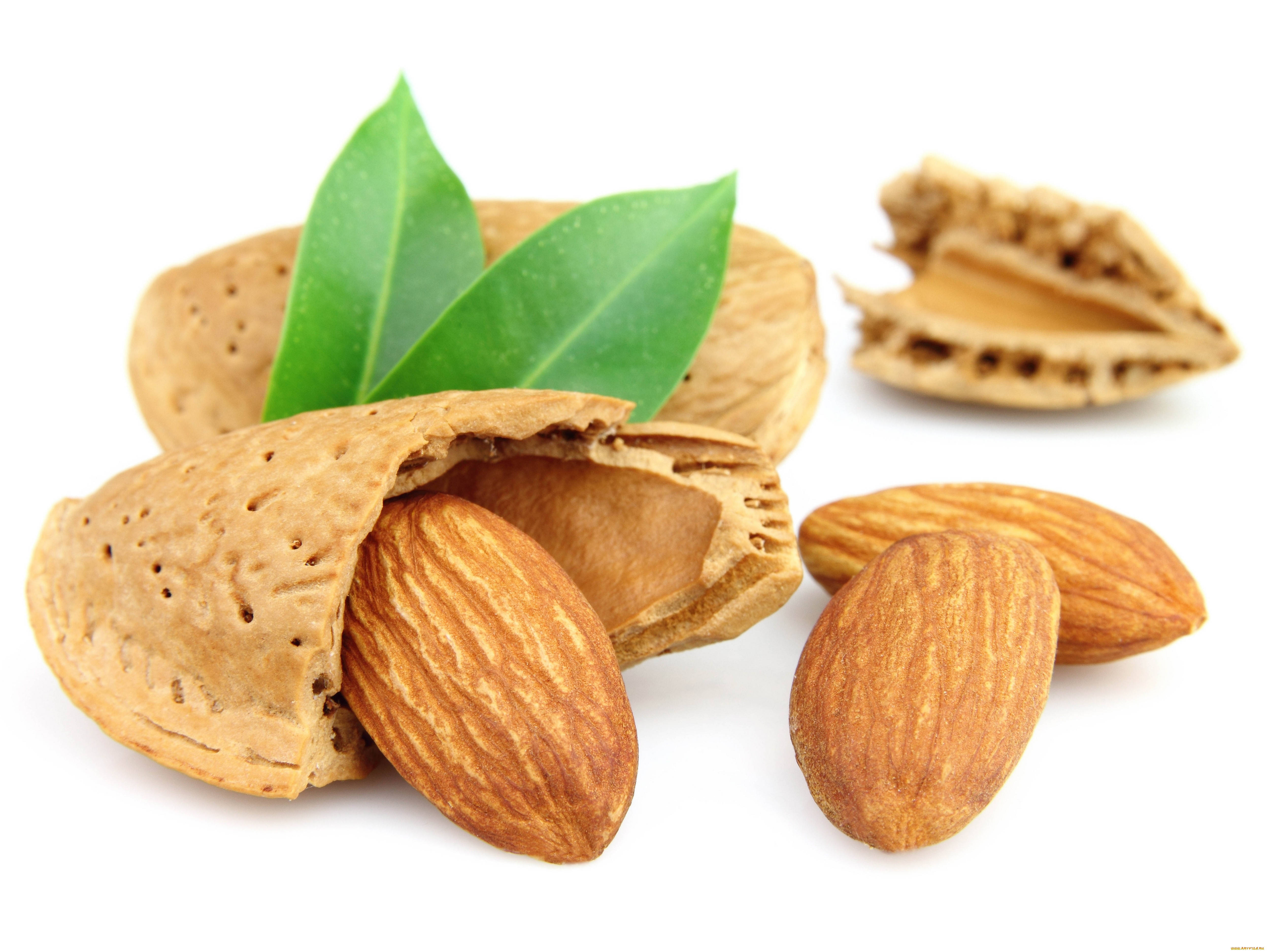 Almond 桌布 壁紙 — 新鮮杏仁搭配綠葉和裂殼，排列在潔淨的白色背景上。