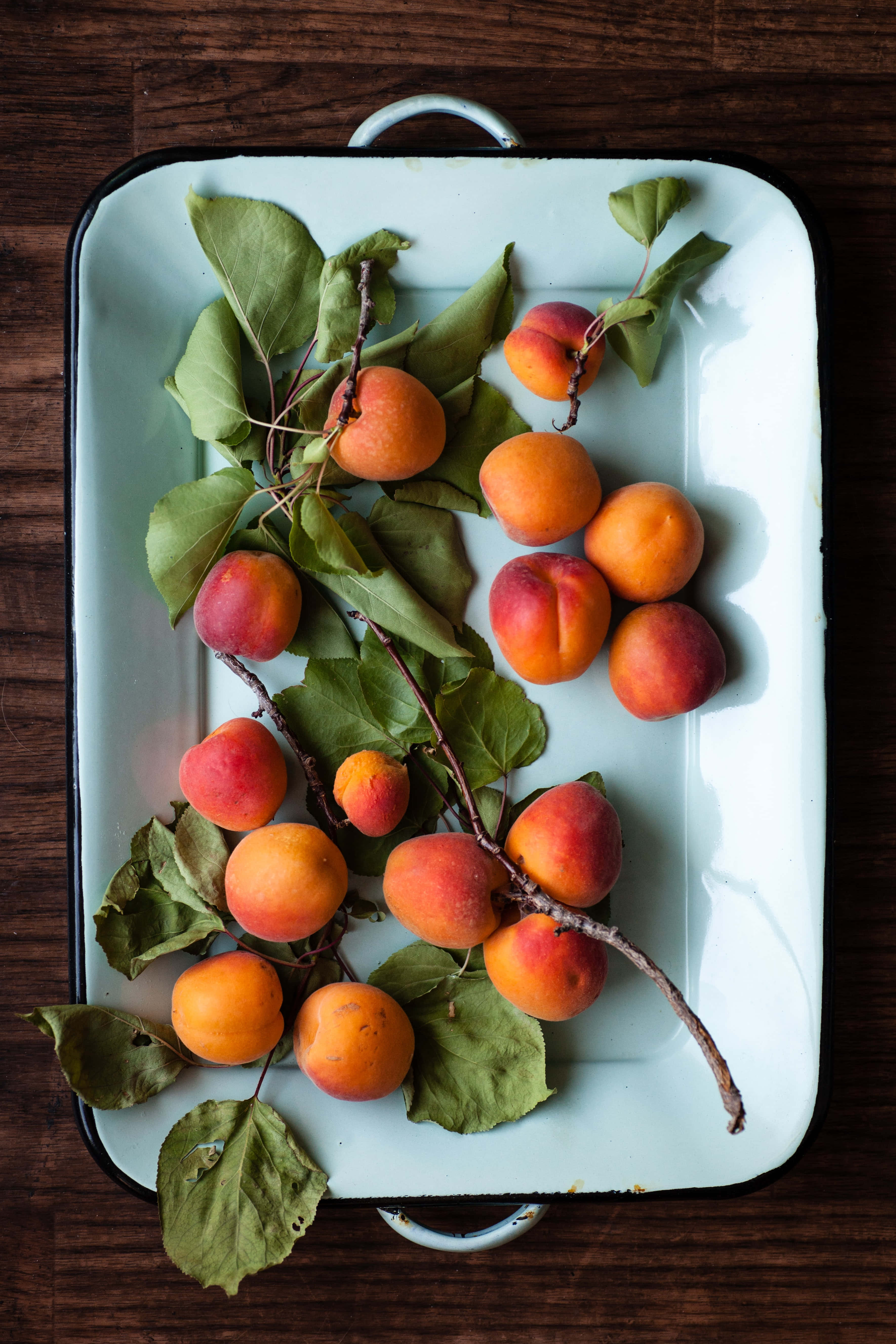 Peaches 桌布 壁紙 — 新鮮杏子配綠葉放在白色琺瑯托盤上，置於深色木質表面。