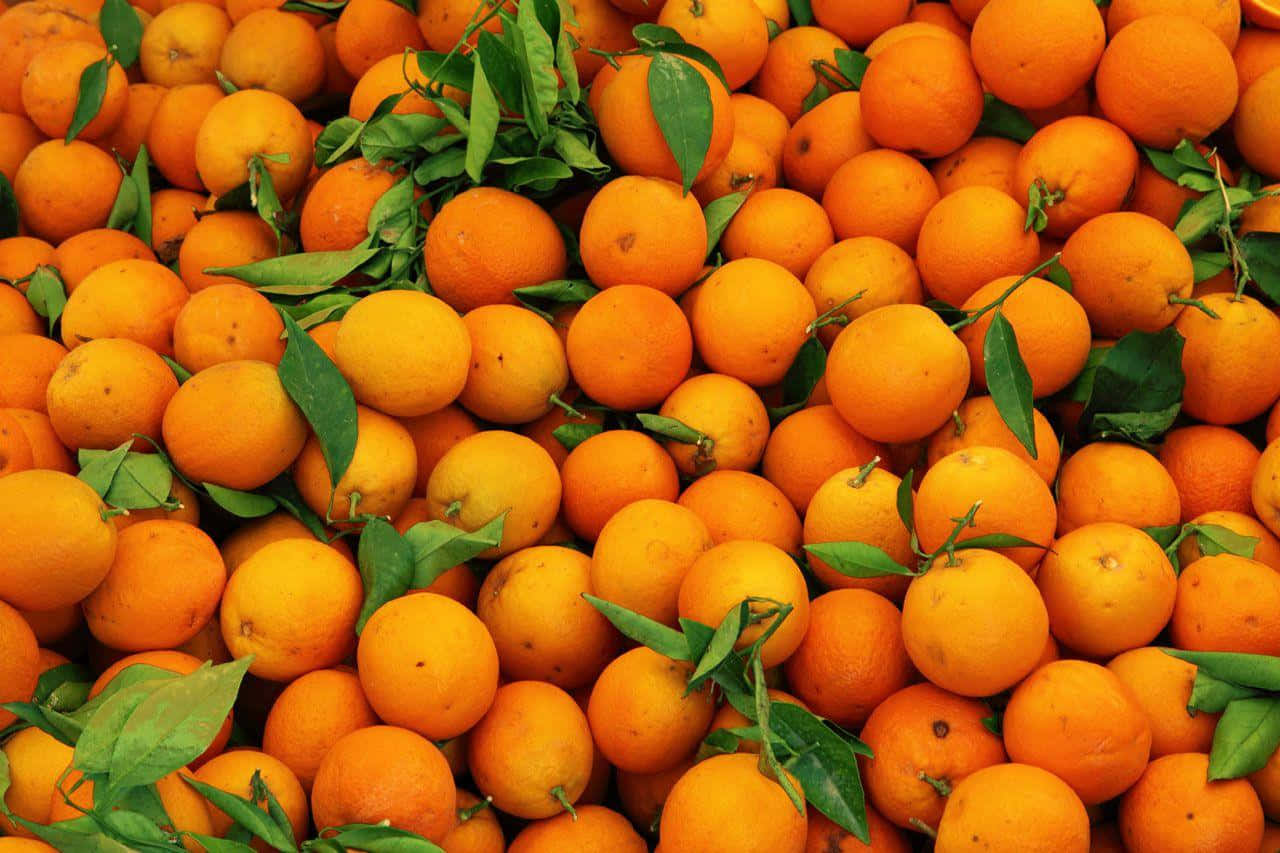 Orange Fruit 桌布 壁紙 — 新鮮柳橙高高堆起，仍帶有綠葉的鮮豔特寫。