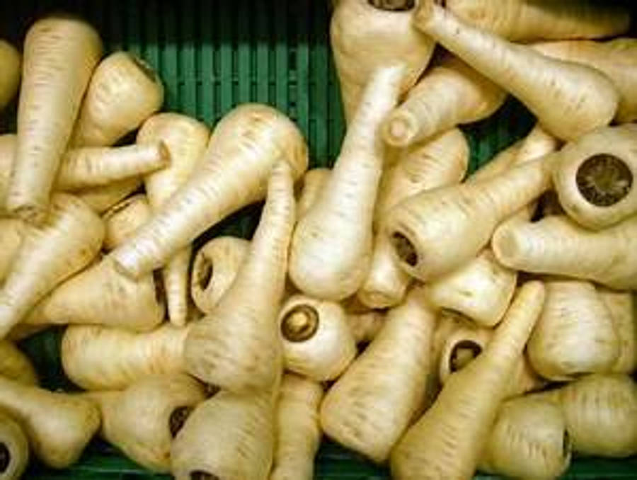 Parsnip 桌布 壁紙 — 新鮮歐洲防風草堆放在綠色板條箱中，帶有大地色調和自然質感。