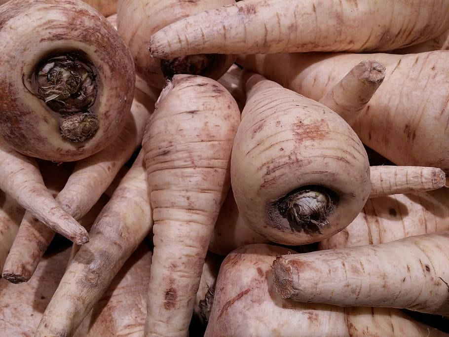 Parsnip 桌布 壁紙 — 新鮮歐洲防風草的近距離特寫，帶有紋理的米色外皮和泥土般的棕色斑點堆疊在一起。