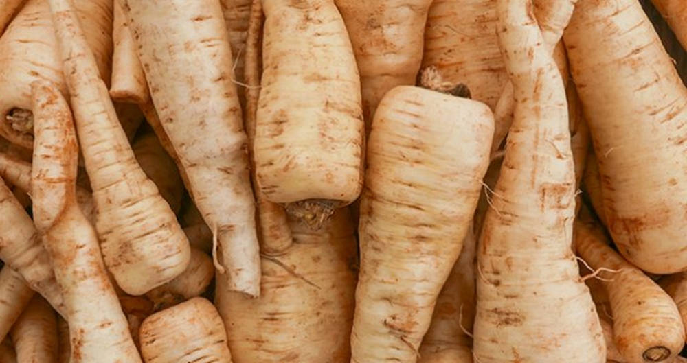 Parsnip 桌布 壁紙 — 新鮮歐洲防風草的近距離特寫，帶有紋理的米色外皮和泥土色調。