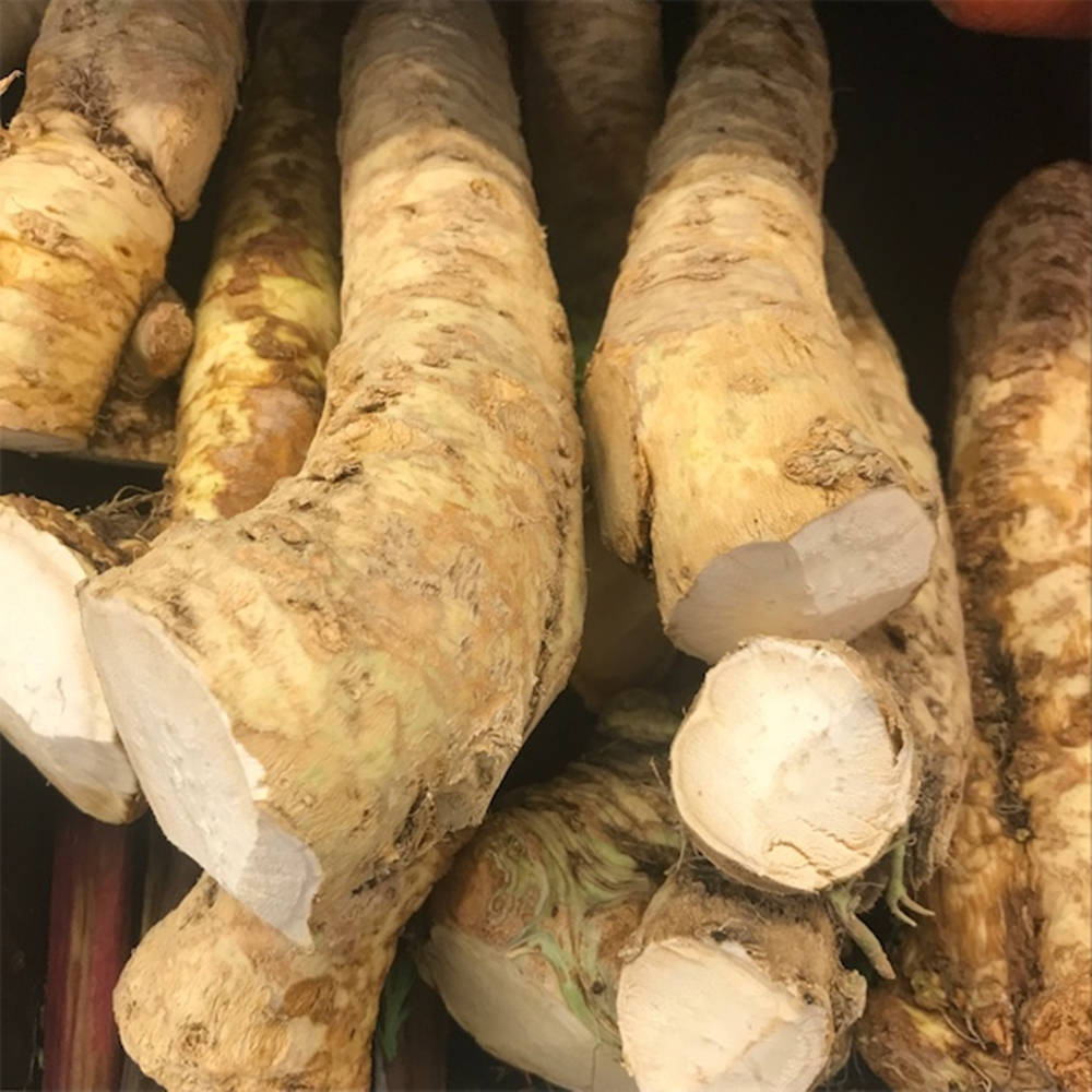 Vegetables 桌布 壁紙 — 新鮮歐洲防風草的近距離特寫，粗糙的米色外皮和淡白色內部堆疊在市場的籃子裡。