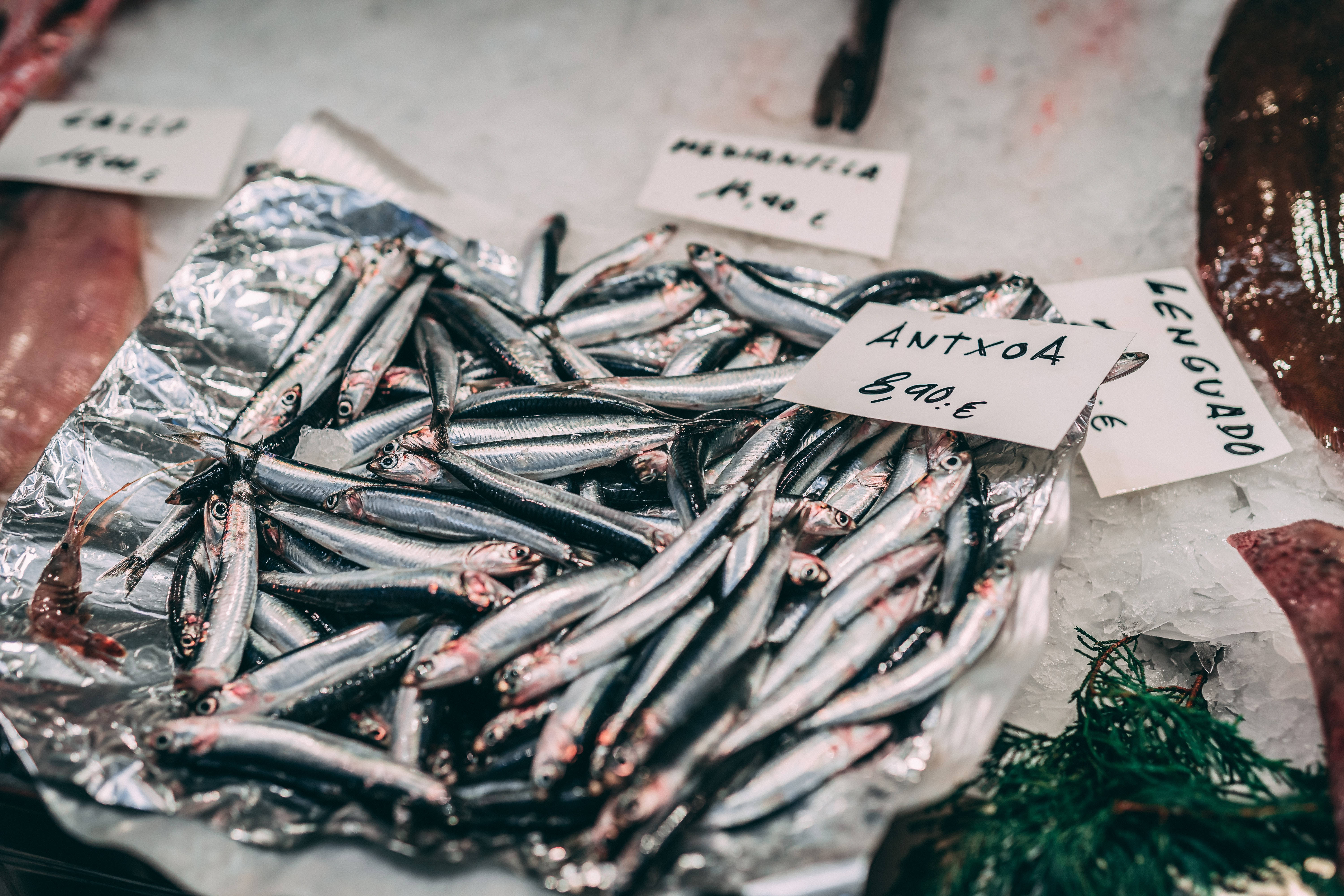 魚 桌布 壁紙 — 新鮮沙丁魚堆在錫箔紙上，位於海鮮市場攤位，附近有手寫價格標籤和冰塊。