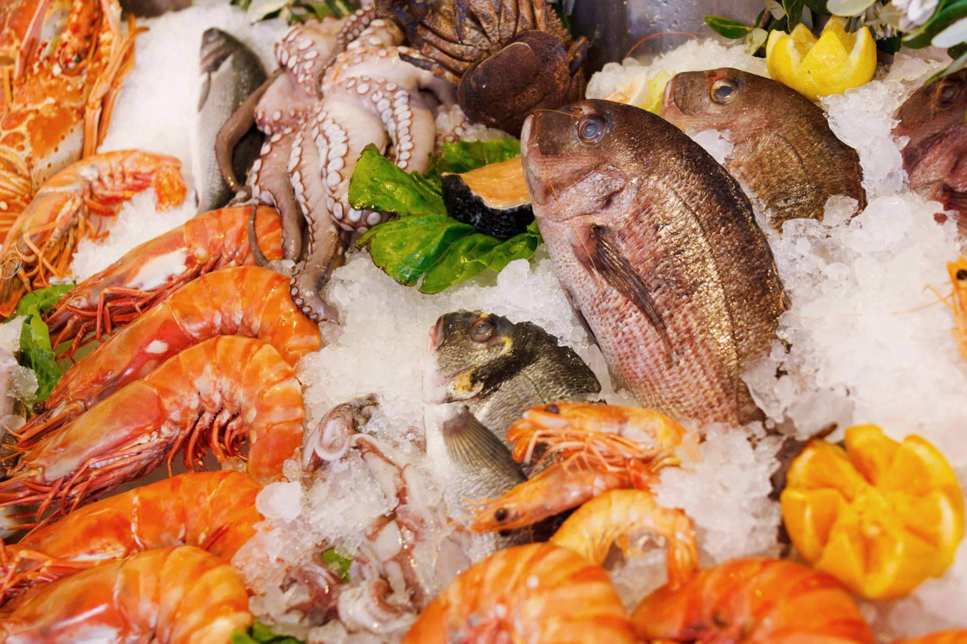 Seafood 桌布 壁紙 — 新鮮海鮮包括蝦、章魚和魚，放在碎冰上並以檸檬裝飾。