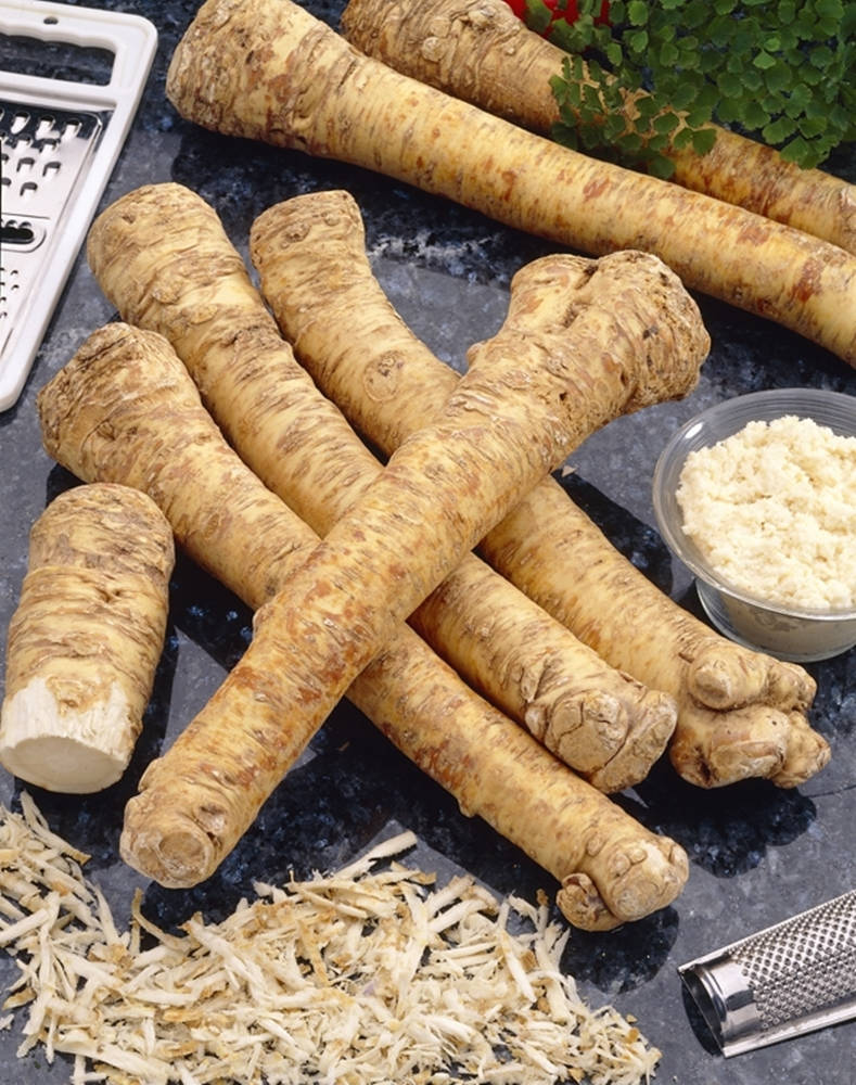 Vegetables 桌布 壁紙 — 新鮮淡黃色歐洲防風草，表皮粗糙，排列在深色檯面上，旁邊有磨碎的歐洲防風草和磨碎工具。