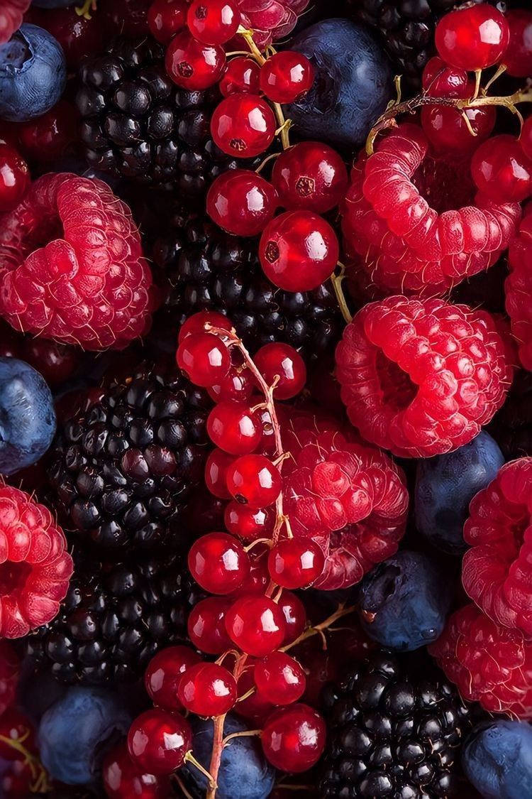 Berry 桌布 壁紙 — 新鮮漿果的鮮豔特寫，包括覆盆子、黑莓、藍莓和紅醋栗，表面帶有露珠。