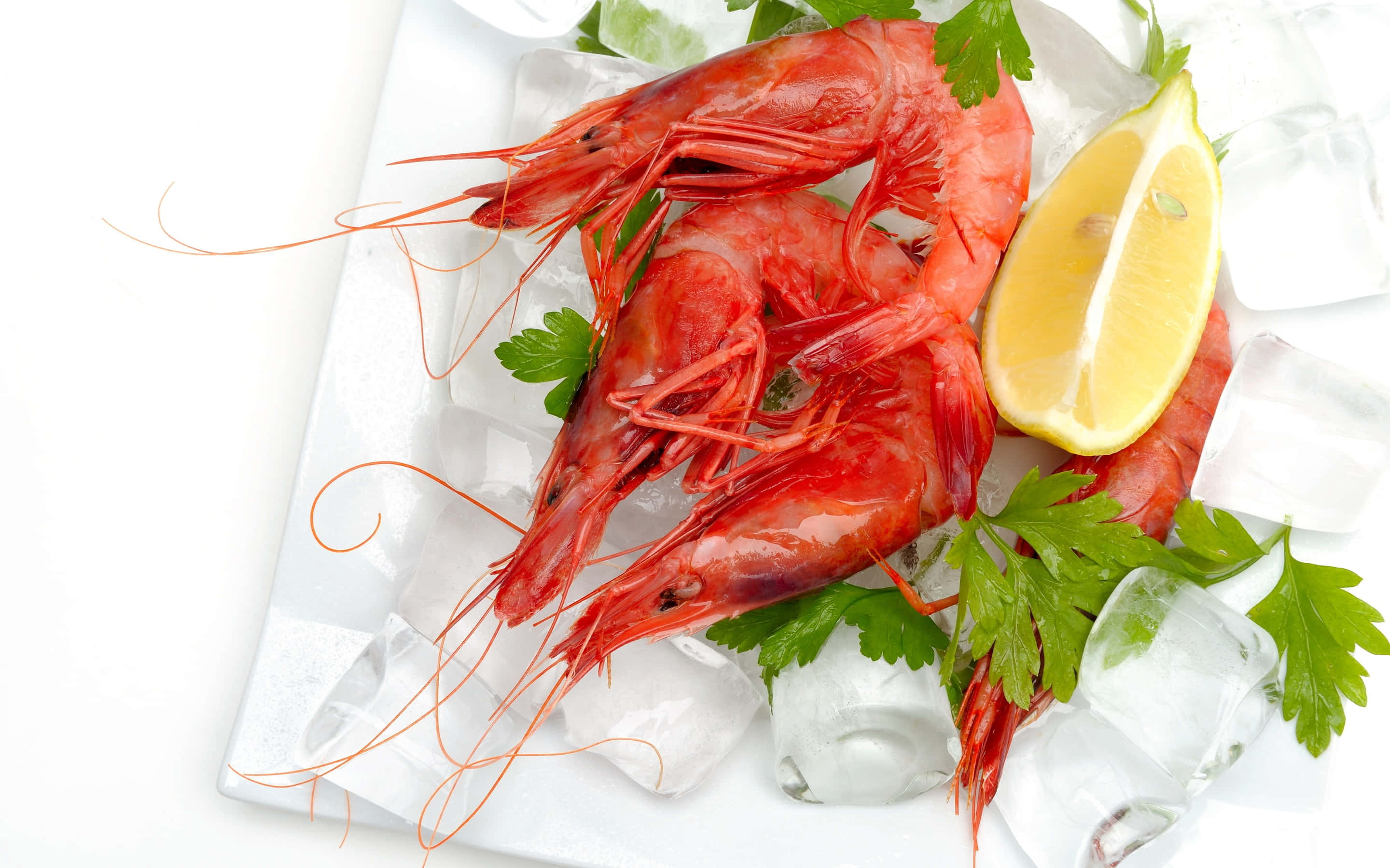 shrimp 桌布 壁紙 — 新鮮烹製的紅蝦放在冰上，搭配檸檬角和歐芹，置於白色盤中。