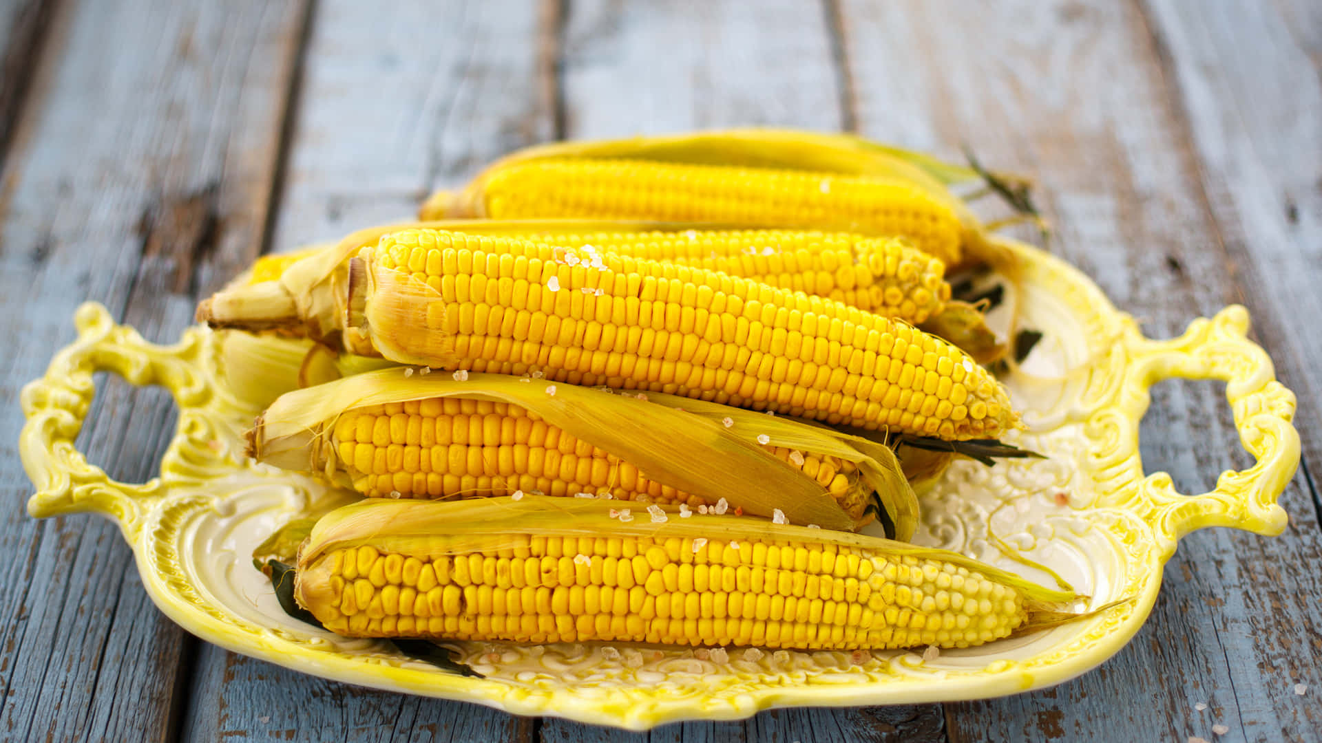 Corn 桌布 壁紙 — 新鮮煮熟的水煮玉米撒上鹽，放在黃色裝飾盤中，置於風化的木桌上。