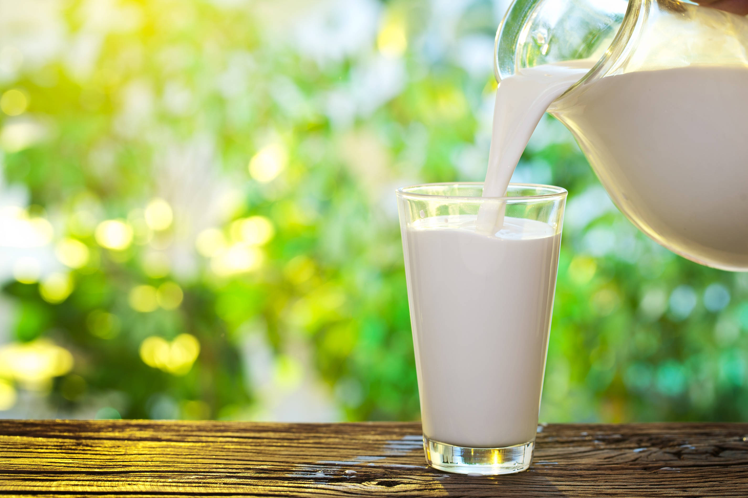 Milk 桌布 壁紙 — 新鮮牛奶從玻璃壺倒入等待的玻璃杯中，放在質樸的木桌上，背景是陽光明媚的綠色花園。