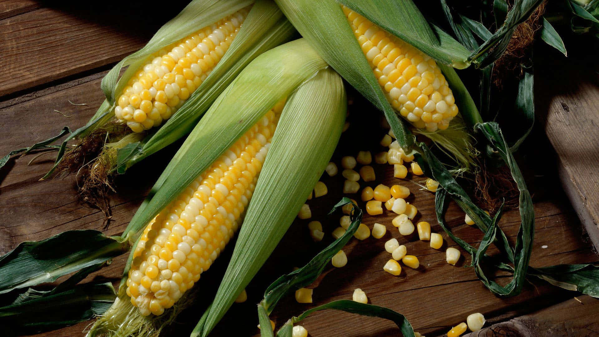Corn 桌布 壁紙 — 新鮮玉米棒上散落著玉米粒，放在質樸的木質表面上。