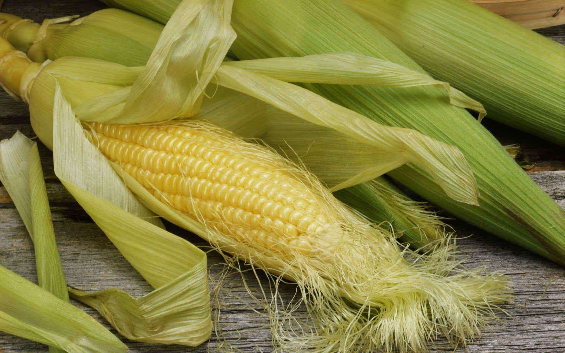Corn 桌布 壁紙 — 新鮮玉米穗，淡綠色外皮剝開，露出飽滿金黃色的玉米粒，放在經風化的木板上。