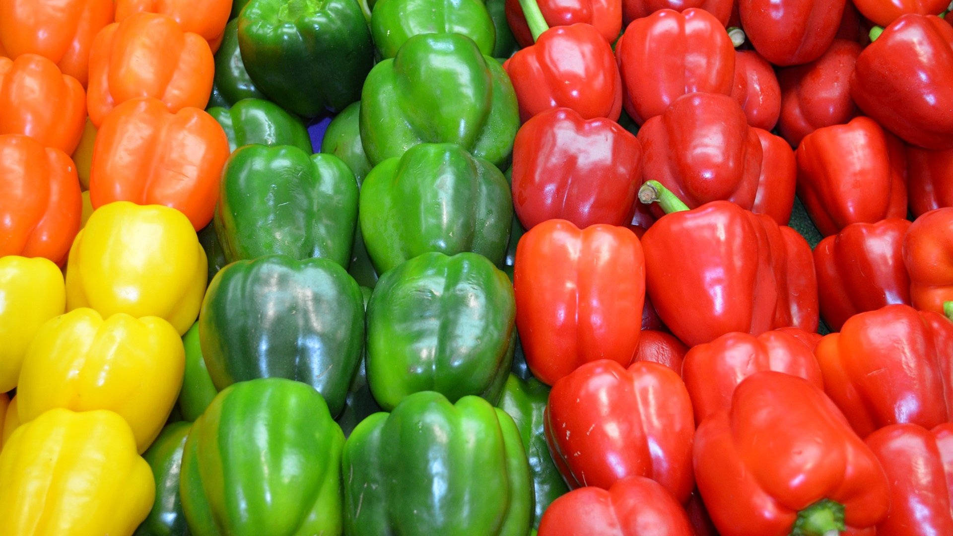 Fruits 桌布 壁紙 — 新鮮甜椒的鮮豔彩虹，紅色、黃色、綠色和橙色整齊排列成行。