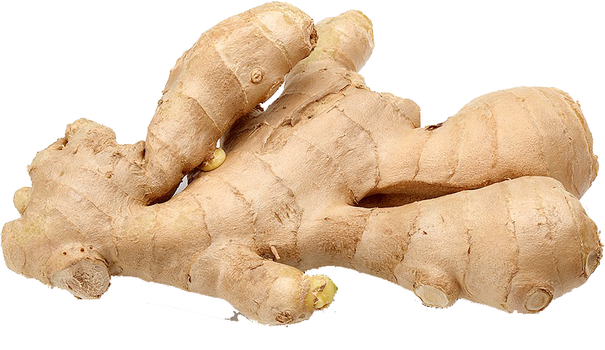 Roots 桌布 壁紙 — 新鮮生薑根部的特寫，具有紋理感的米色外皮和節狀部分，背景為 stark 黑色。