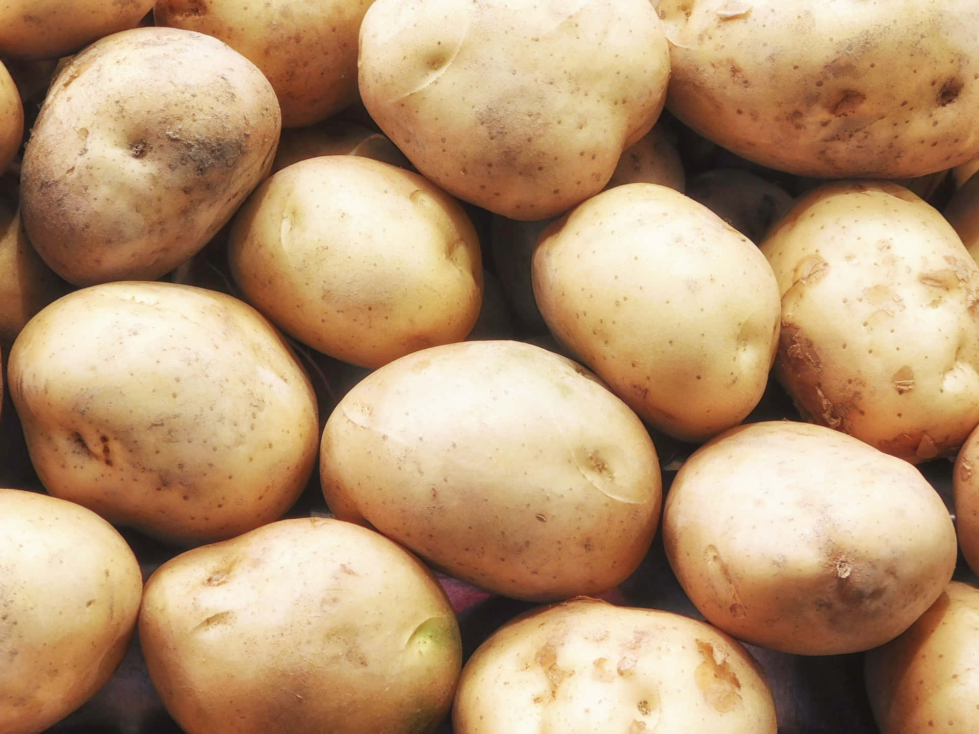 Potatoes 壁紙 — 新鮮生馬鈴薯帶泥土外皮和自然瑕疵堆疊在一起的近距離特寫。