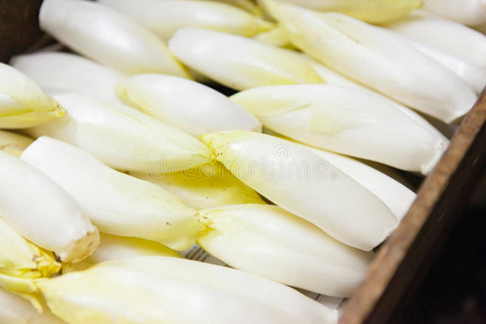 Delicious Food 桌布 壁紙 — 新鮮白色菊苣根整齊排列在木箱中，柔和自然光線照射。